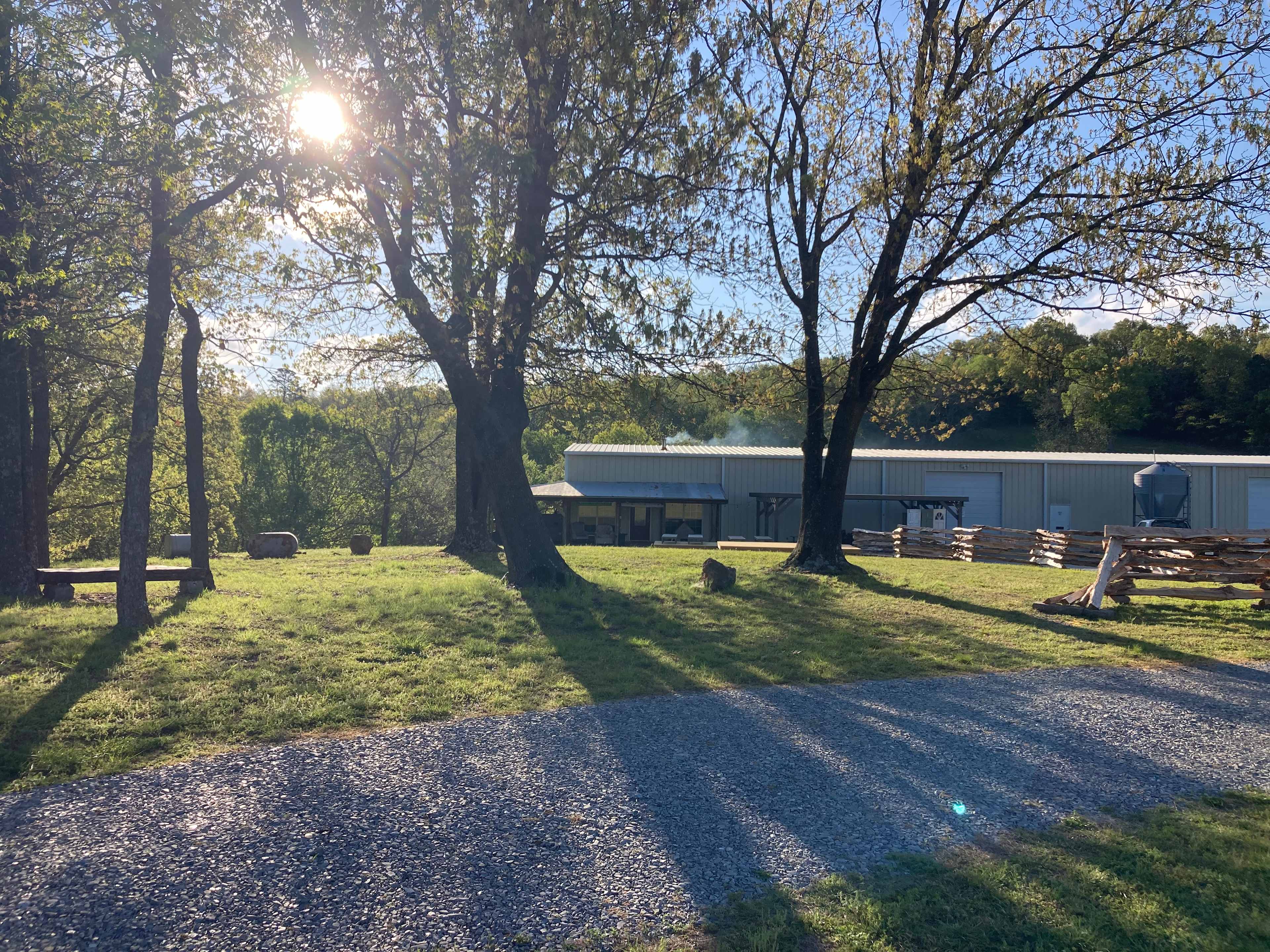 Picture of the site