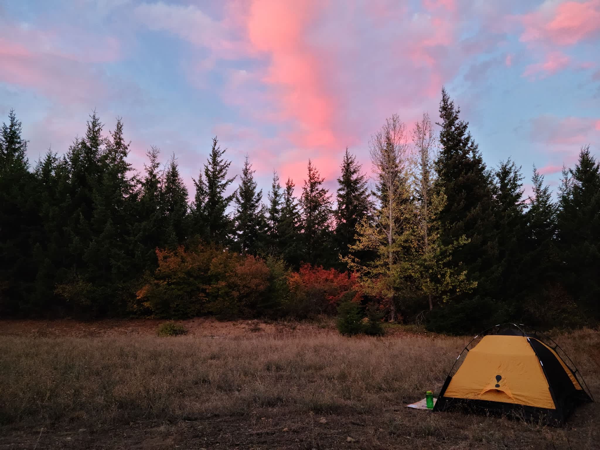 Pine Peak - Dirt bike - ATV - RV