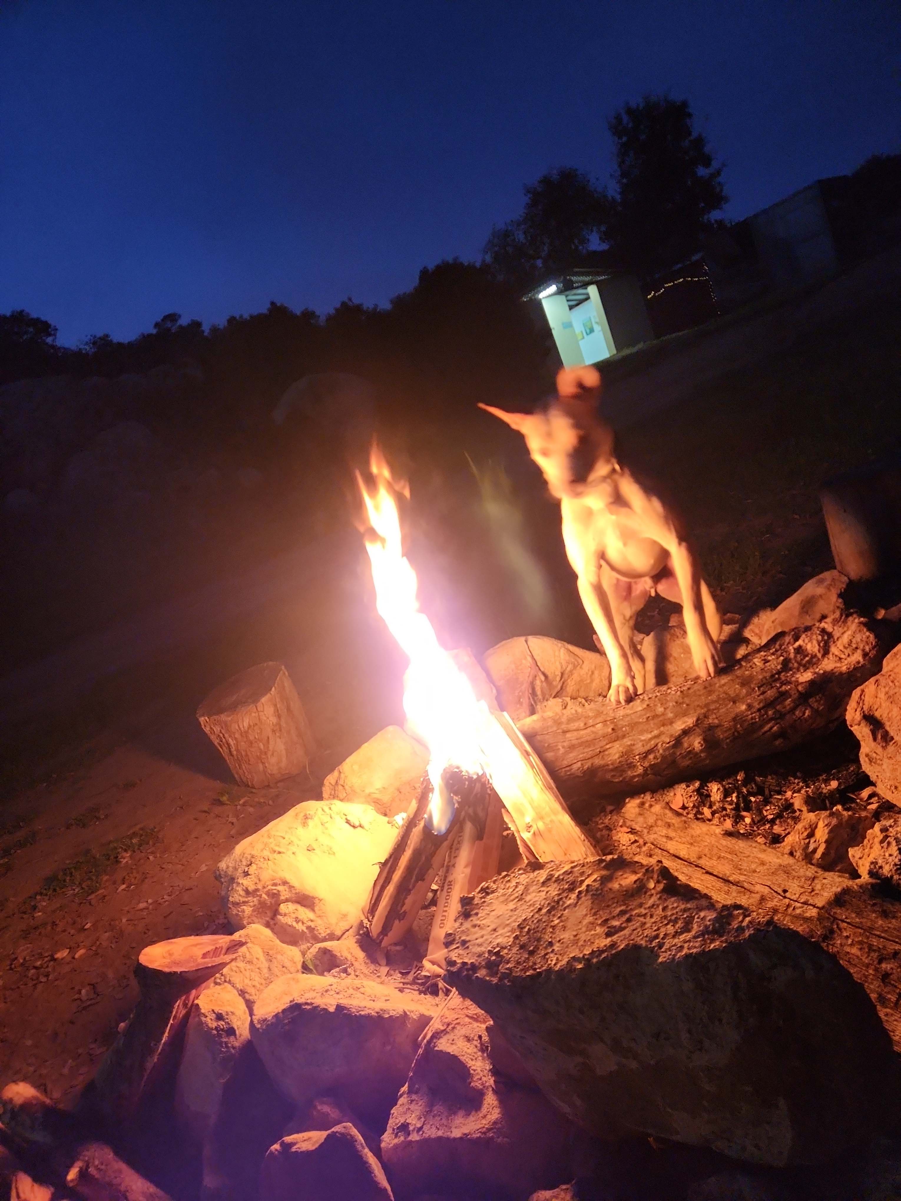 GoodVibes Ranch Disc Golf & Camping