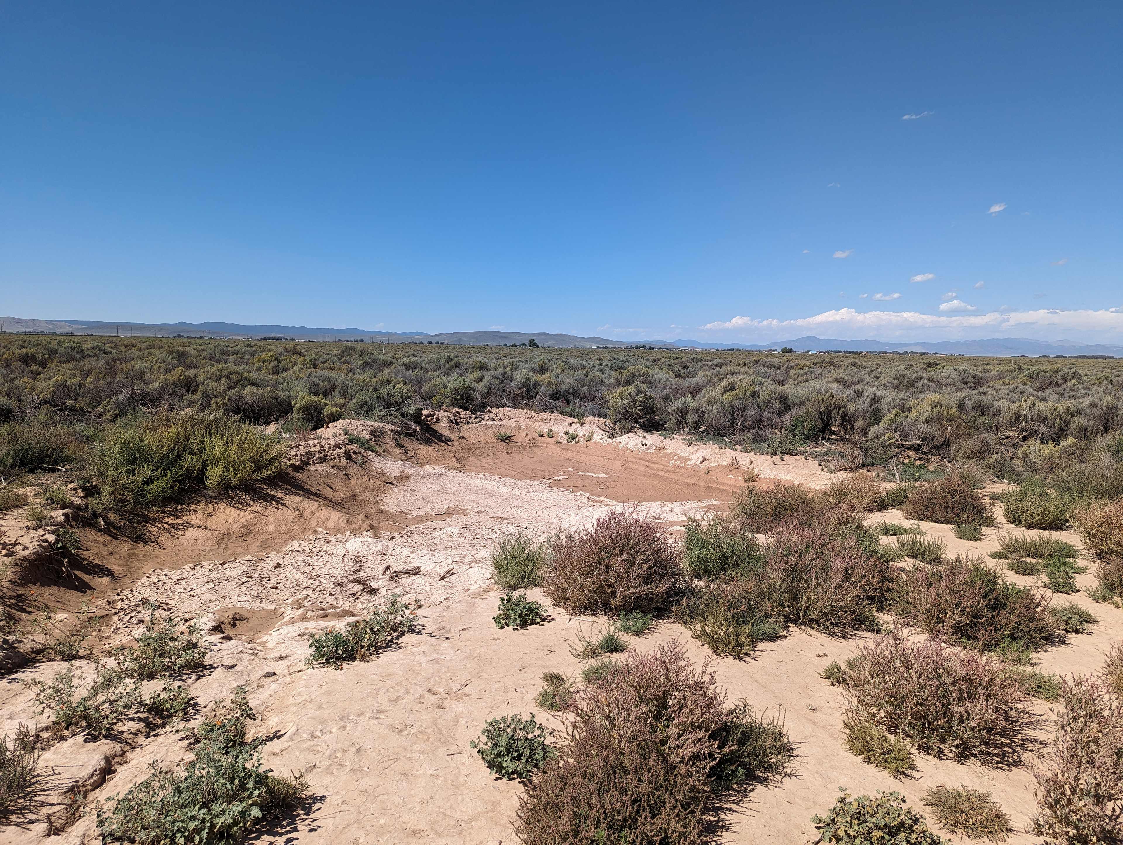 Sea of Sagebrush