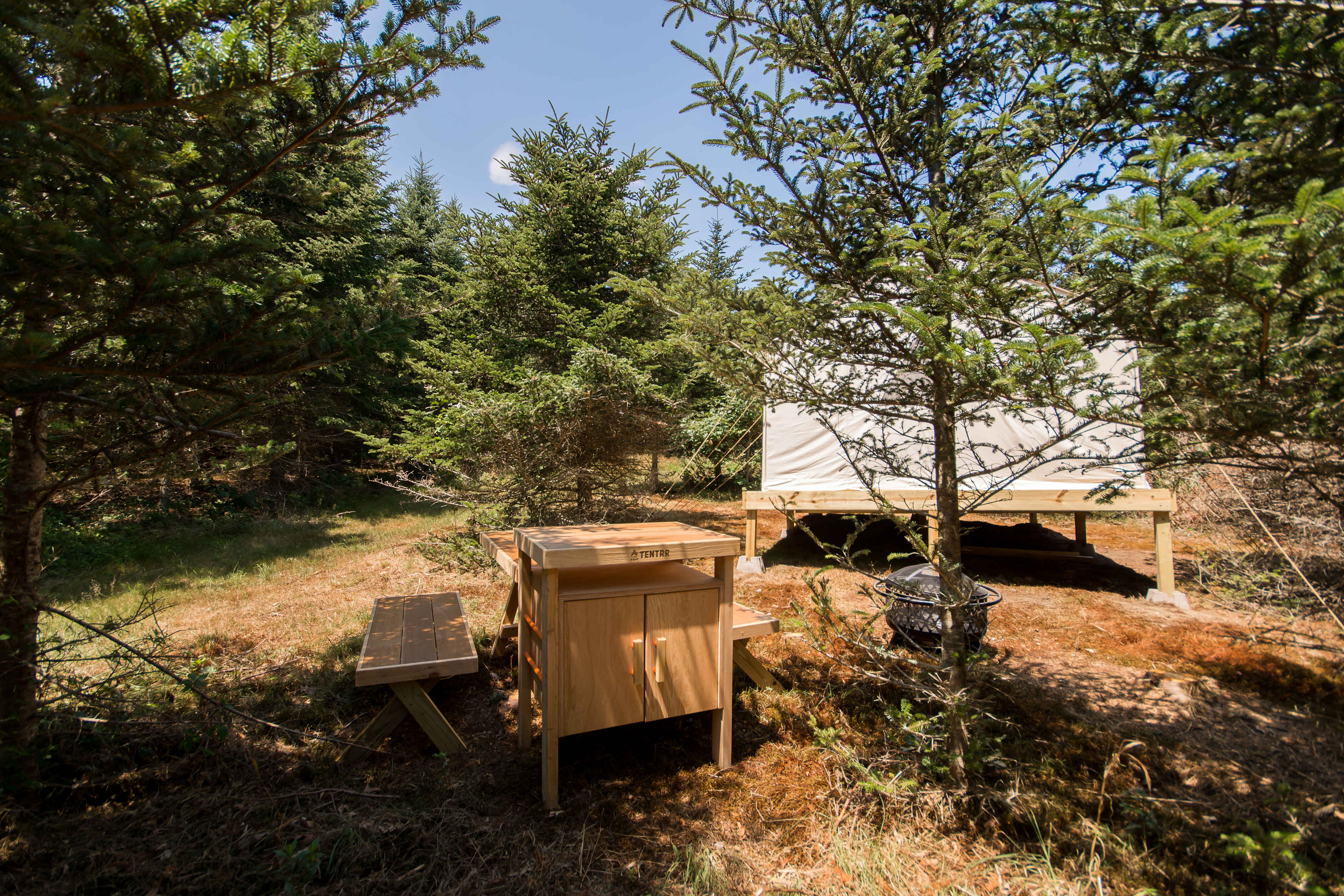 Picture of the site