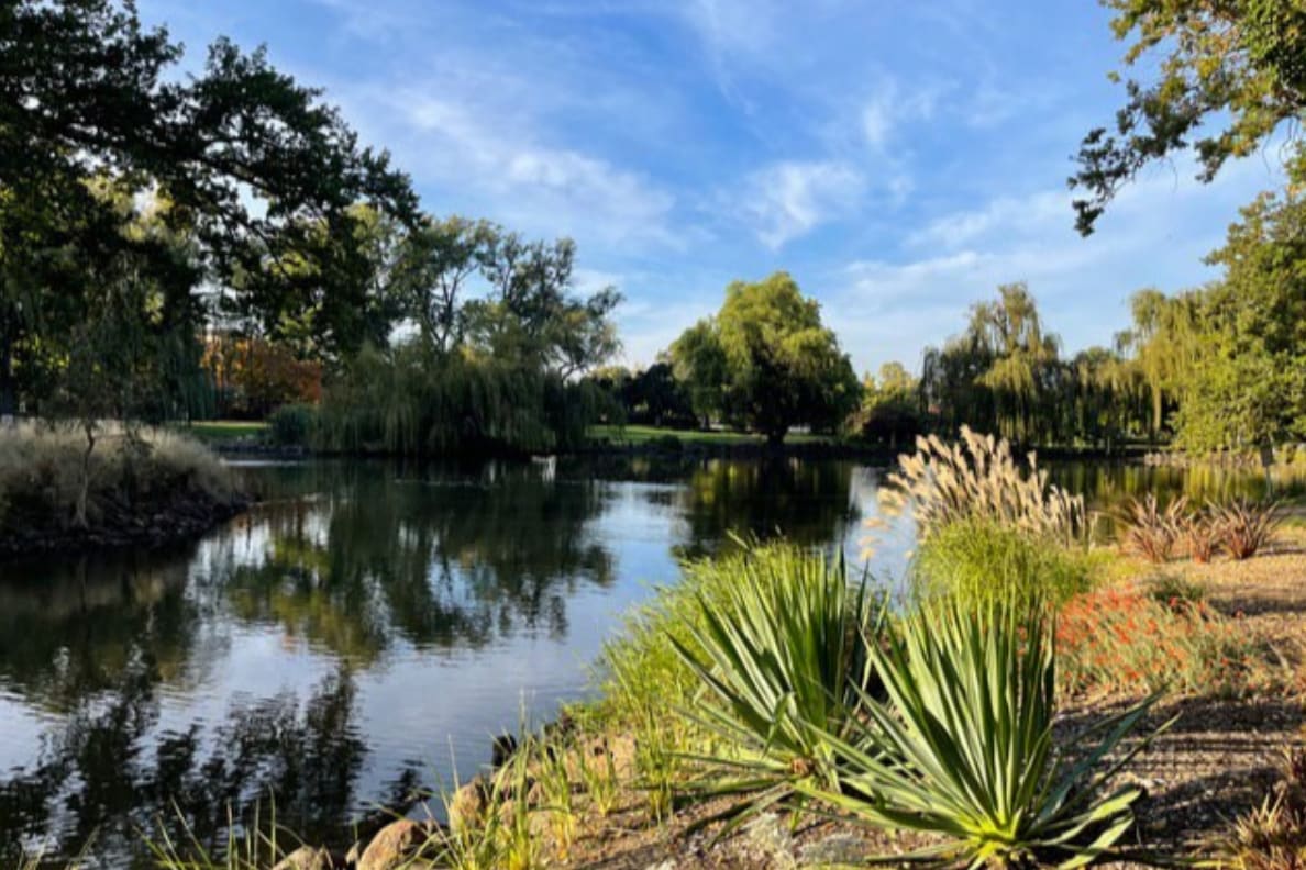 Picture of the site