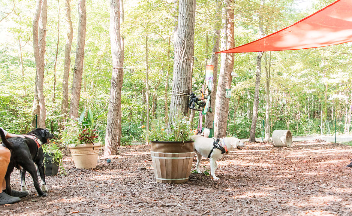 Campit Outdoor Resort Saugatuck