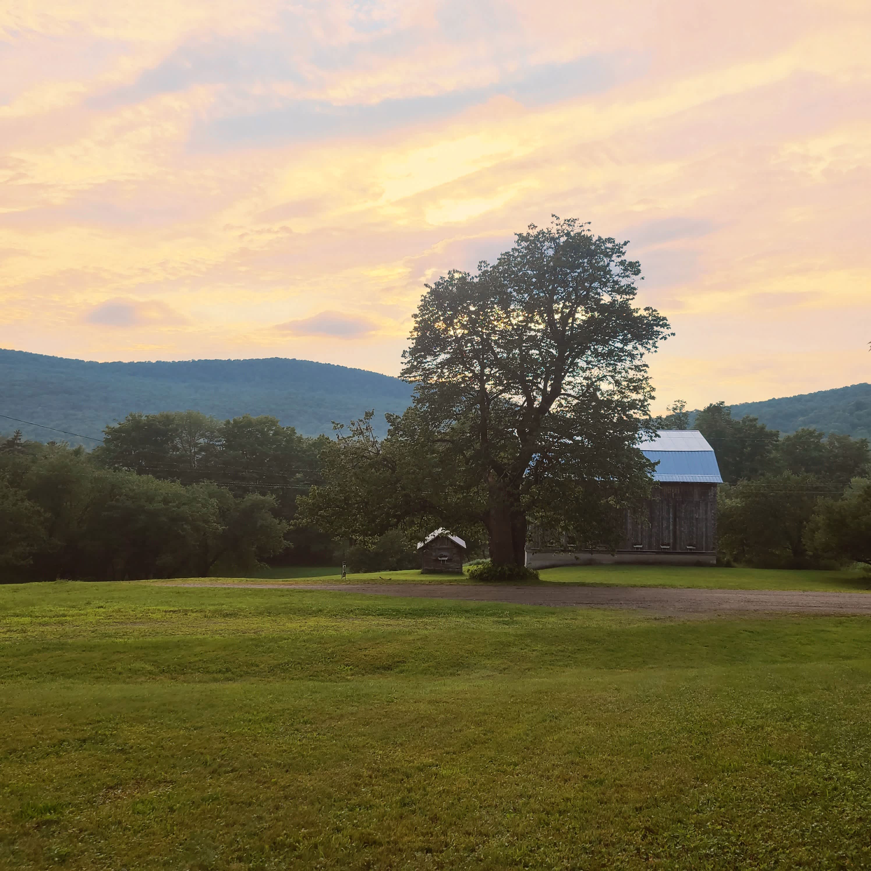 Golden Maple Farm - Camping