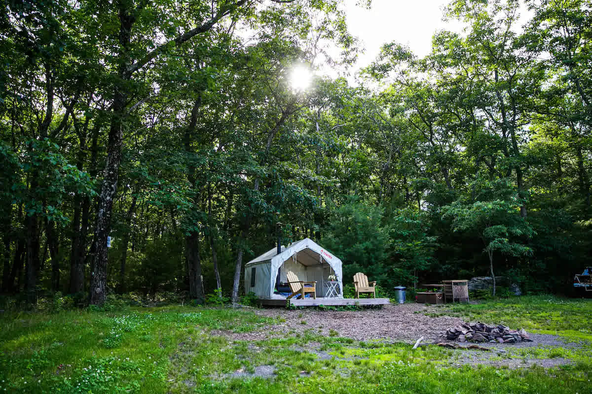 Picture of the site