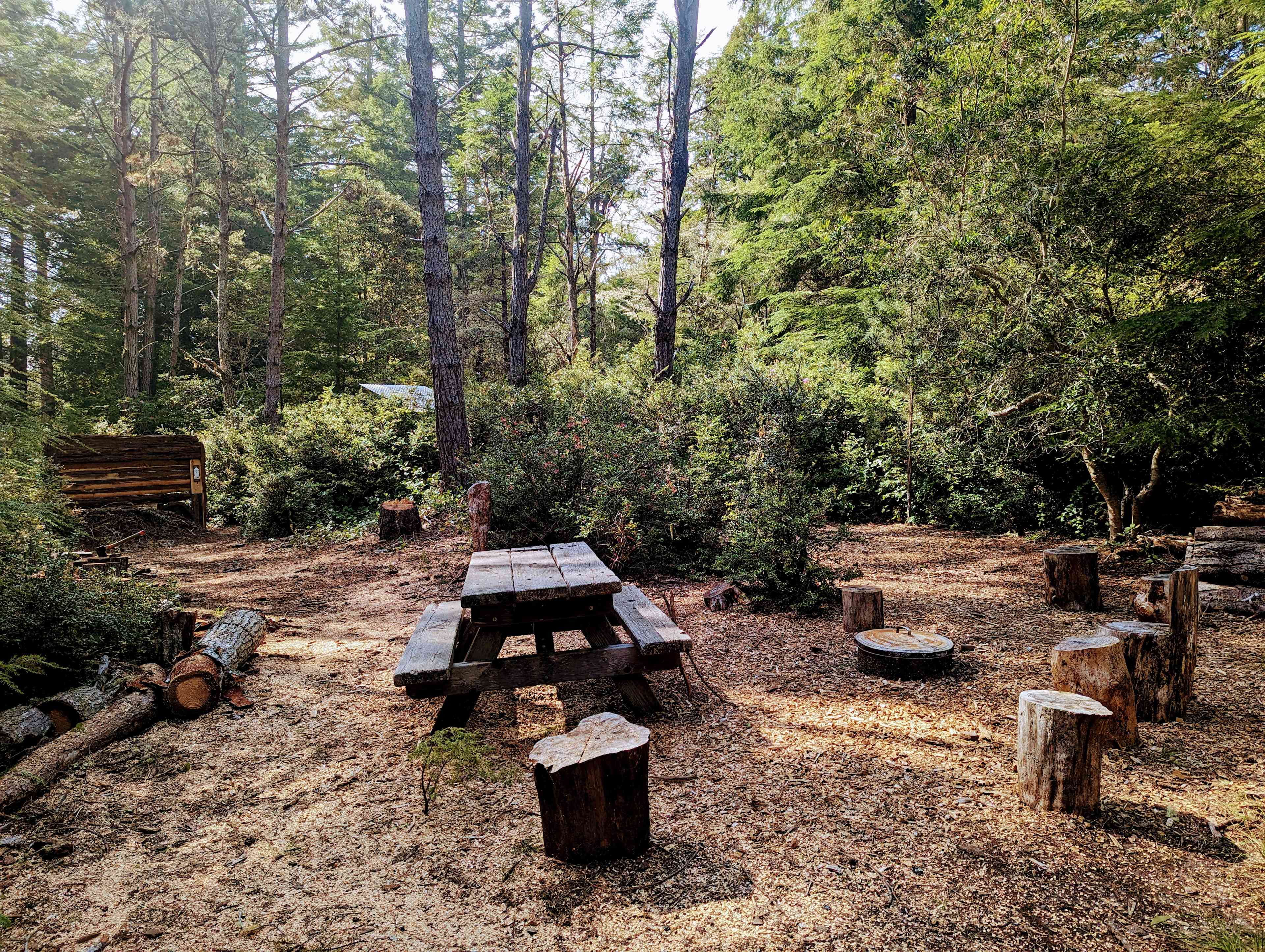 Picture of the site