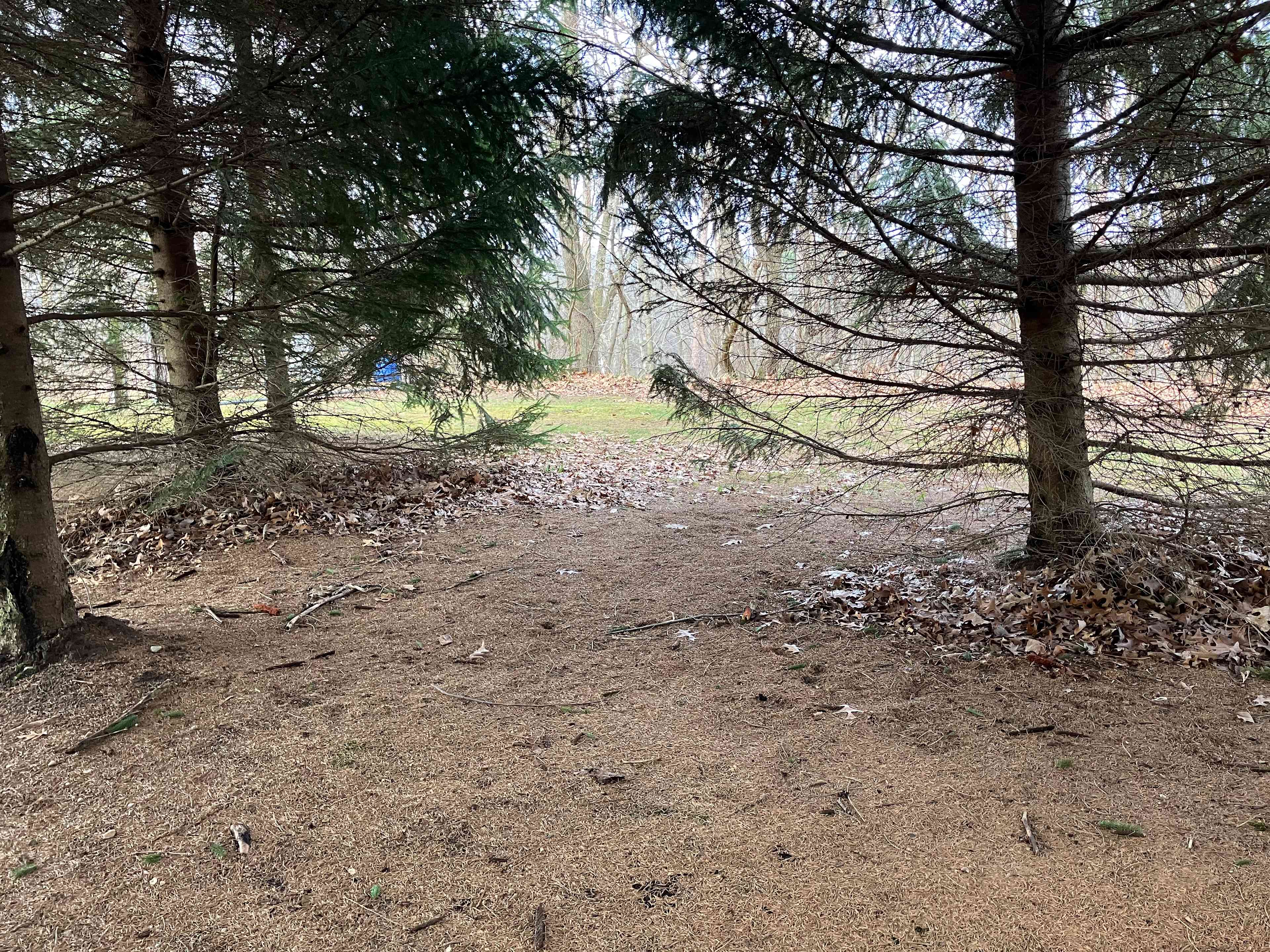 Restful Camping Retreat