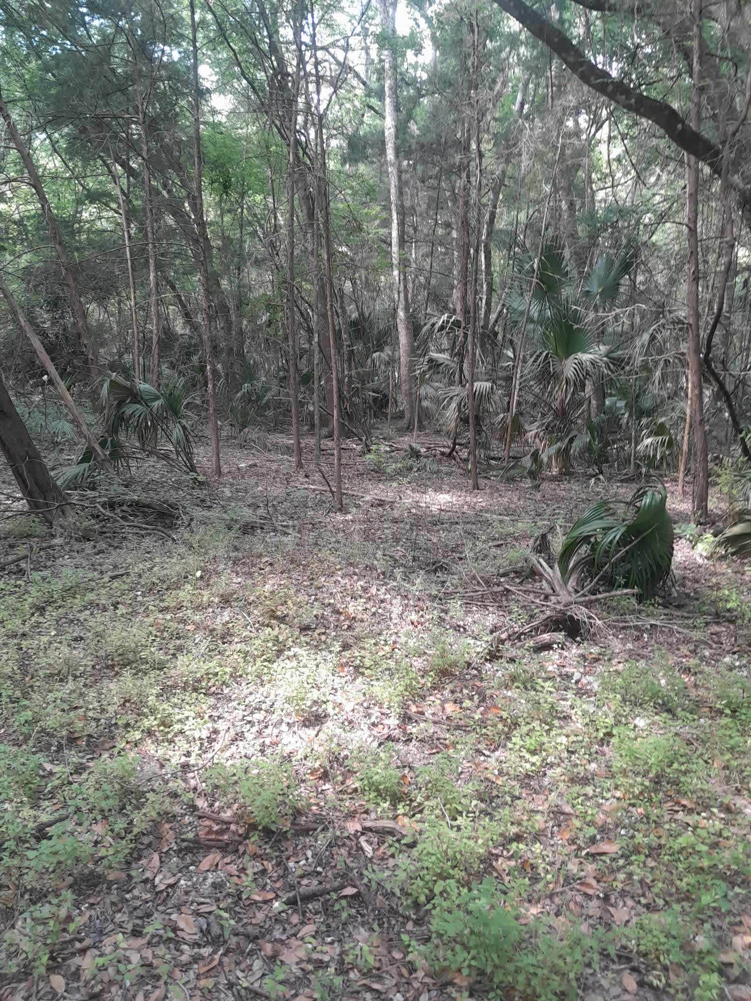Country Acres
