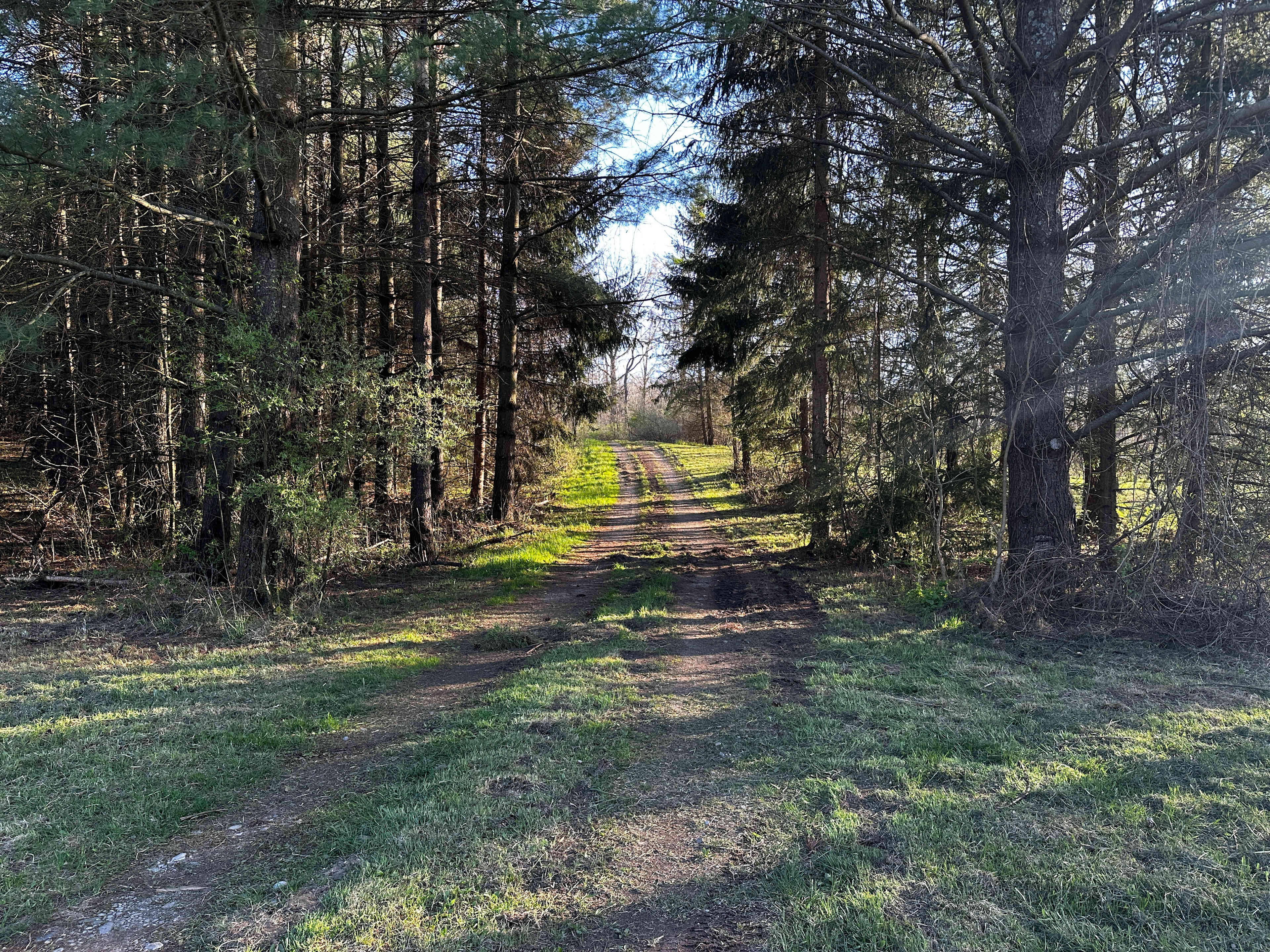 Boone Farm & Forest