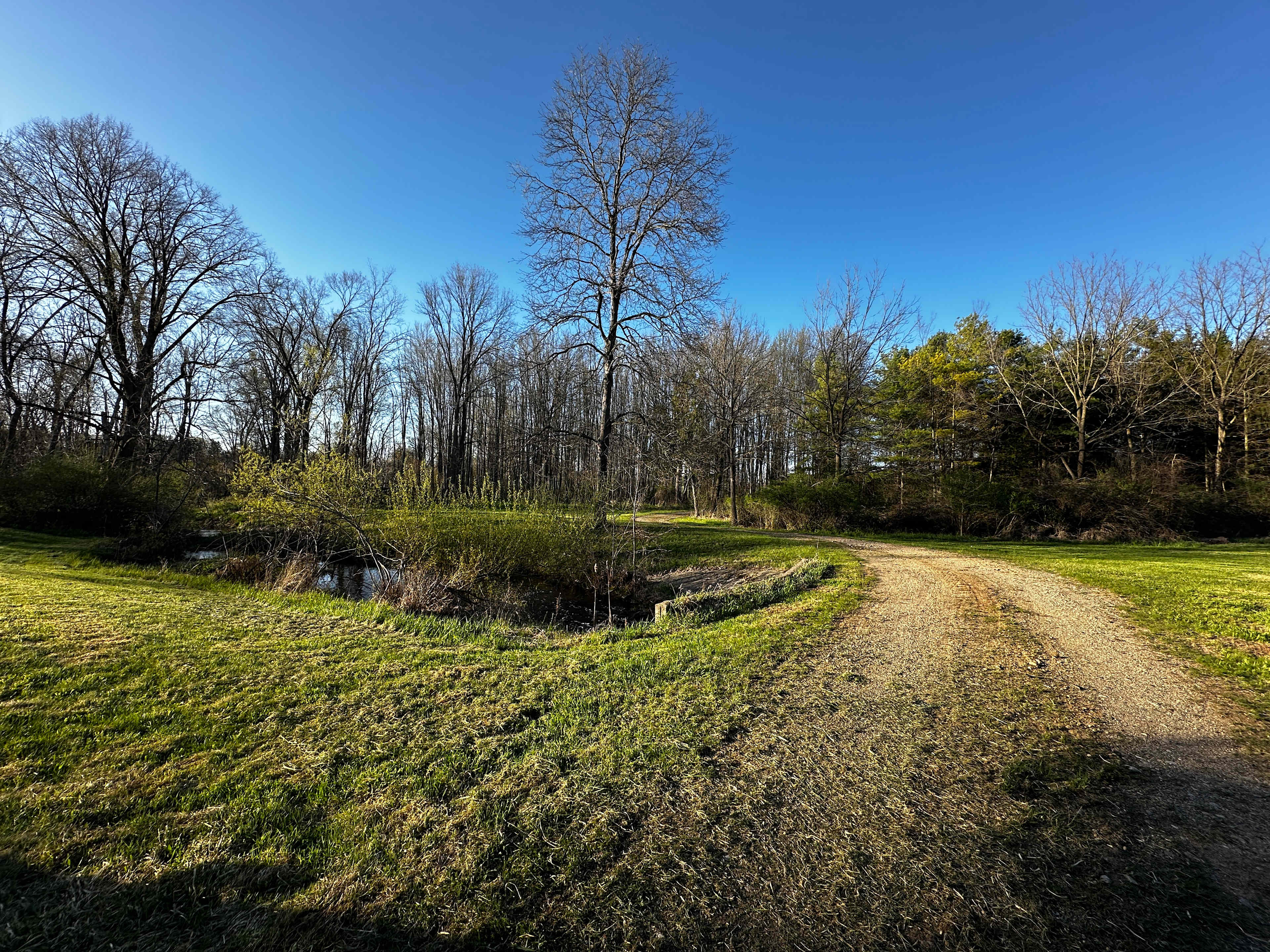 Boone Farm & Forest