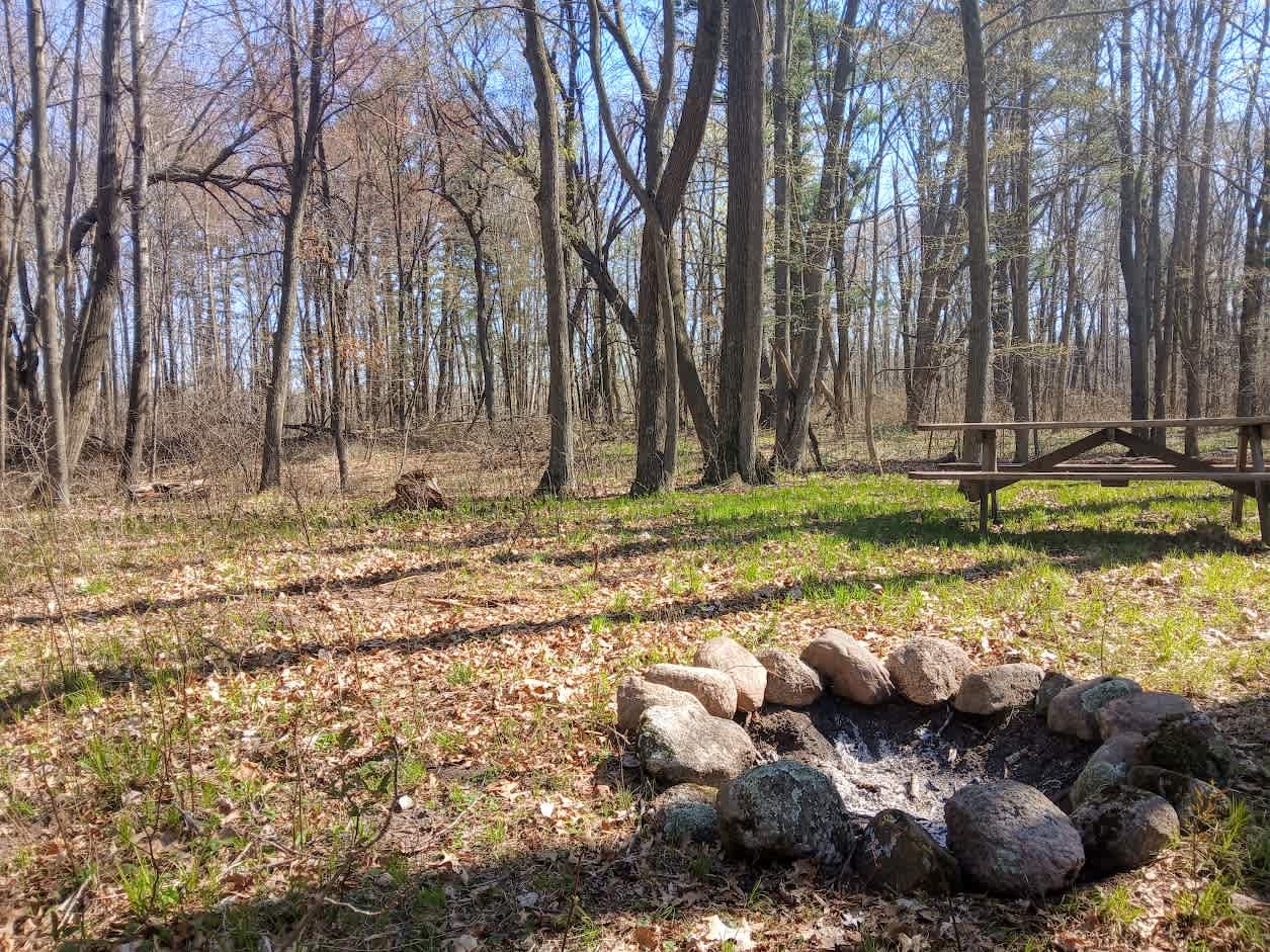 Picture of the site