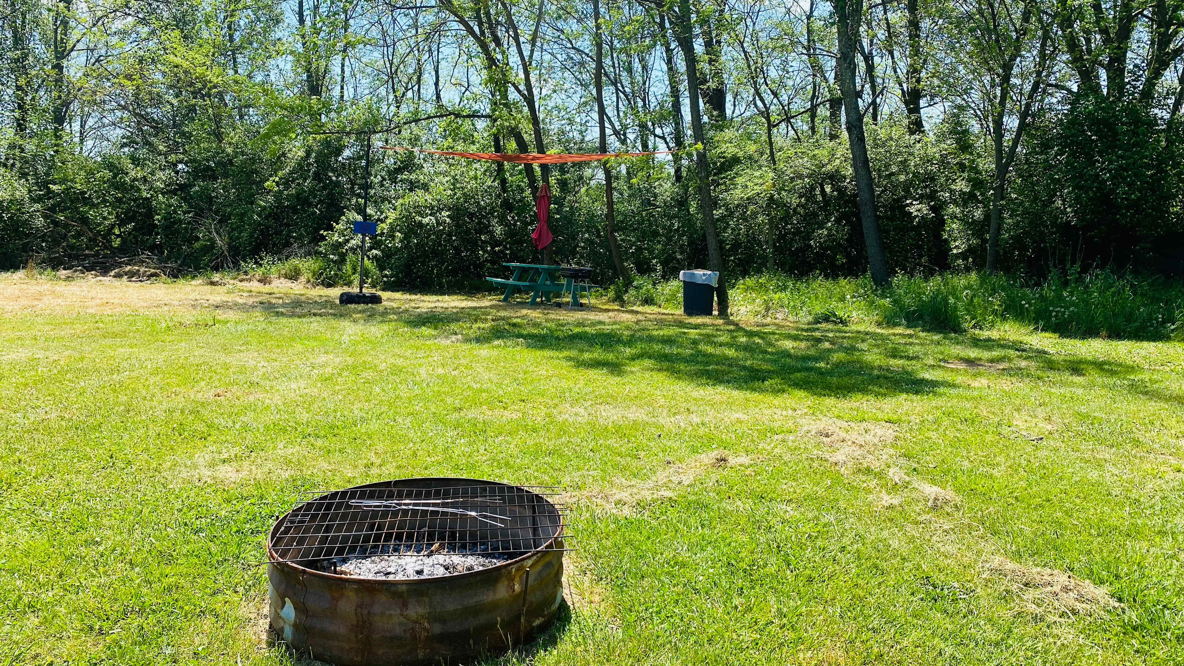 Picture of the site