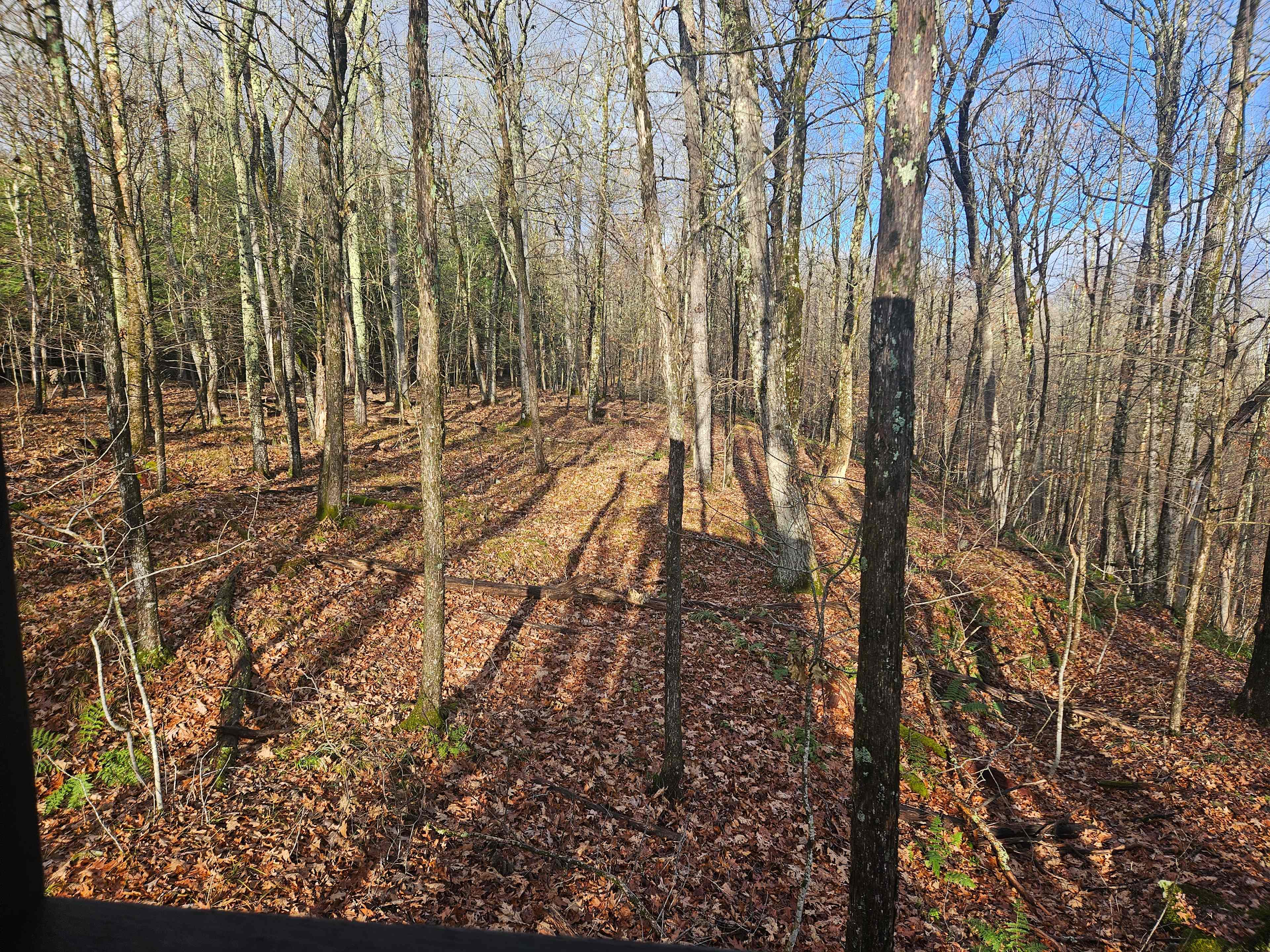 Brook Hollow Homestead