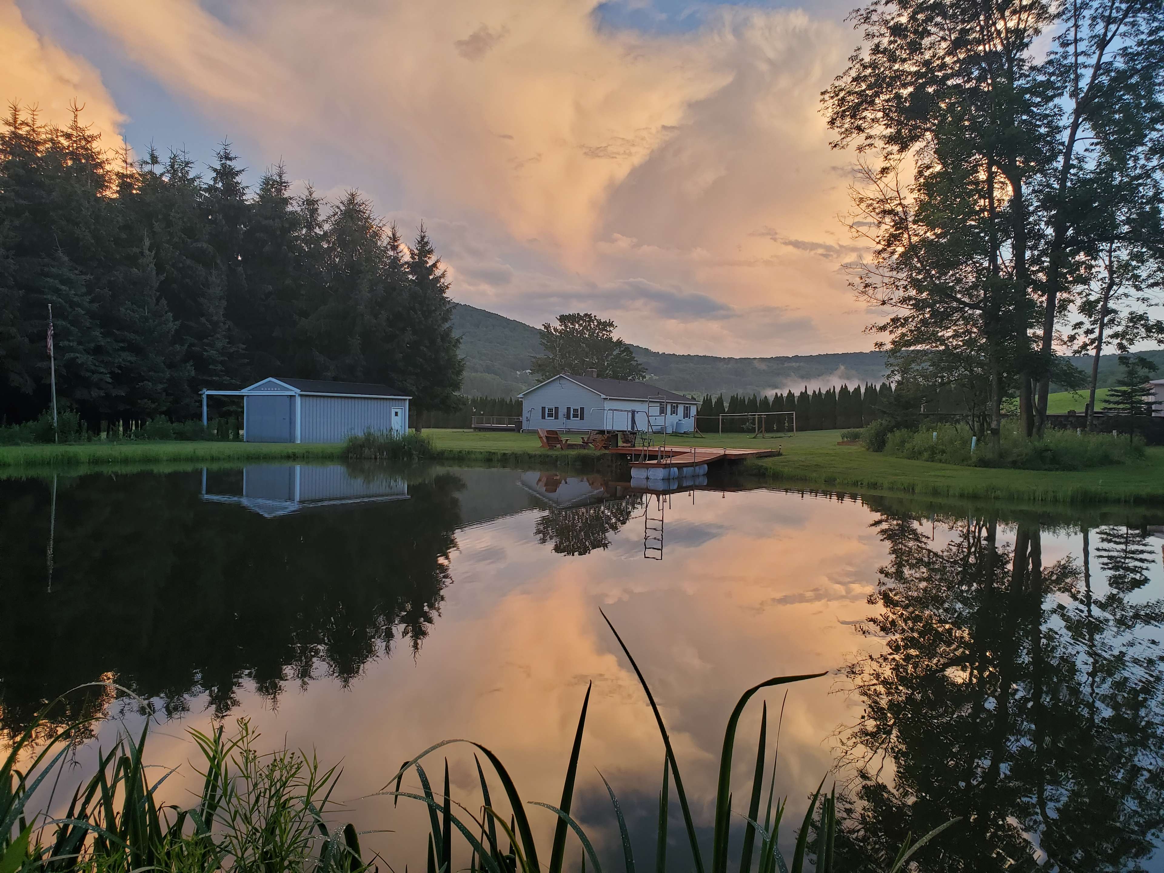 Brook Hollow Homestead