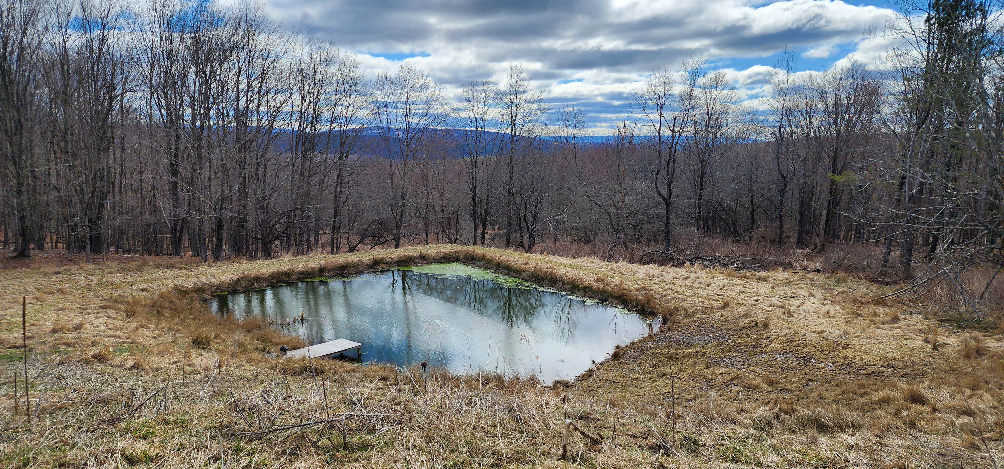 Catskills Mountain View