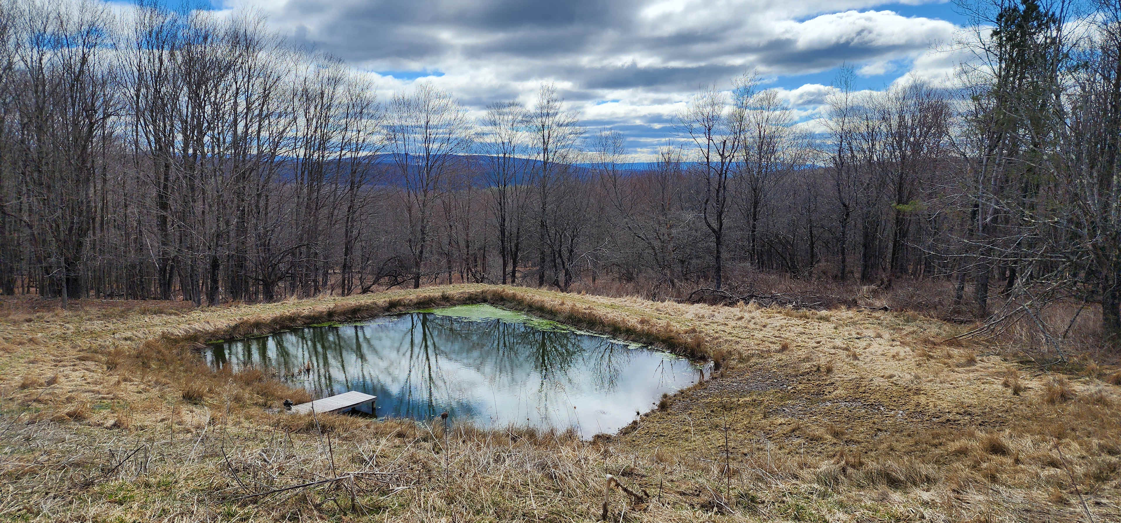 Catskills Mountain View