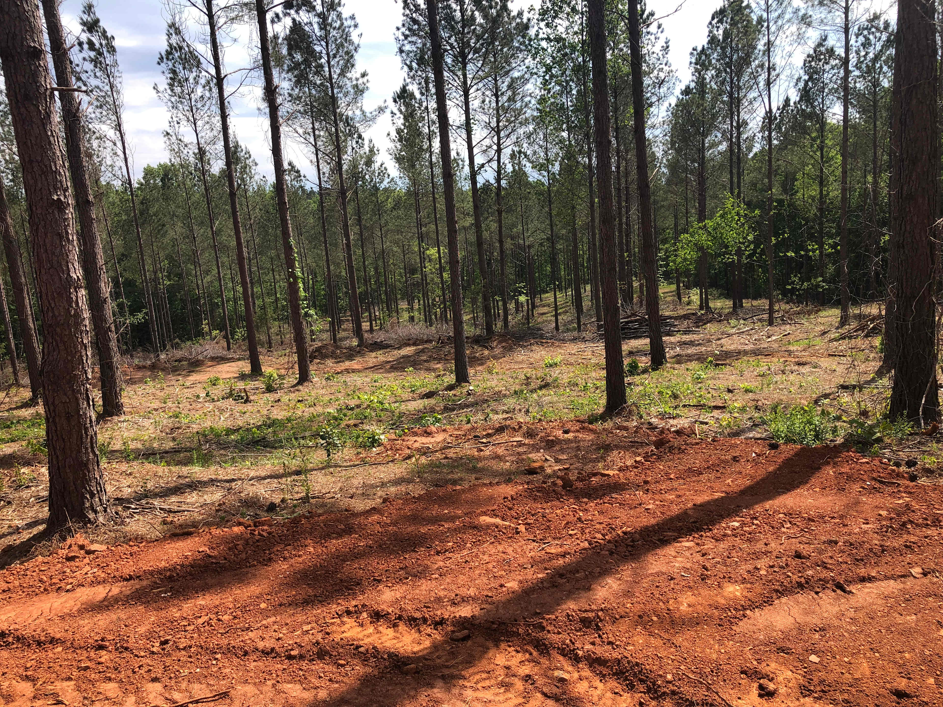 Pine Hill Campground