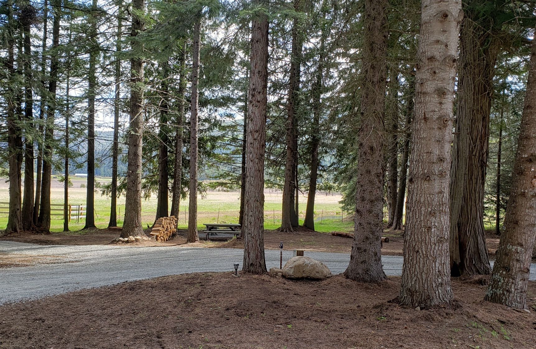 Picture of the site