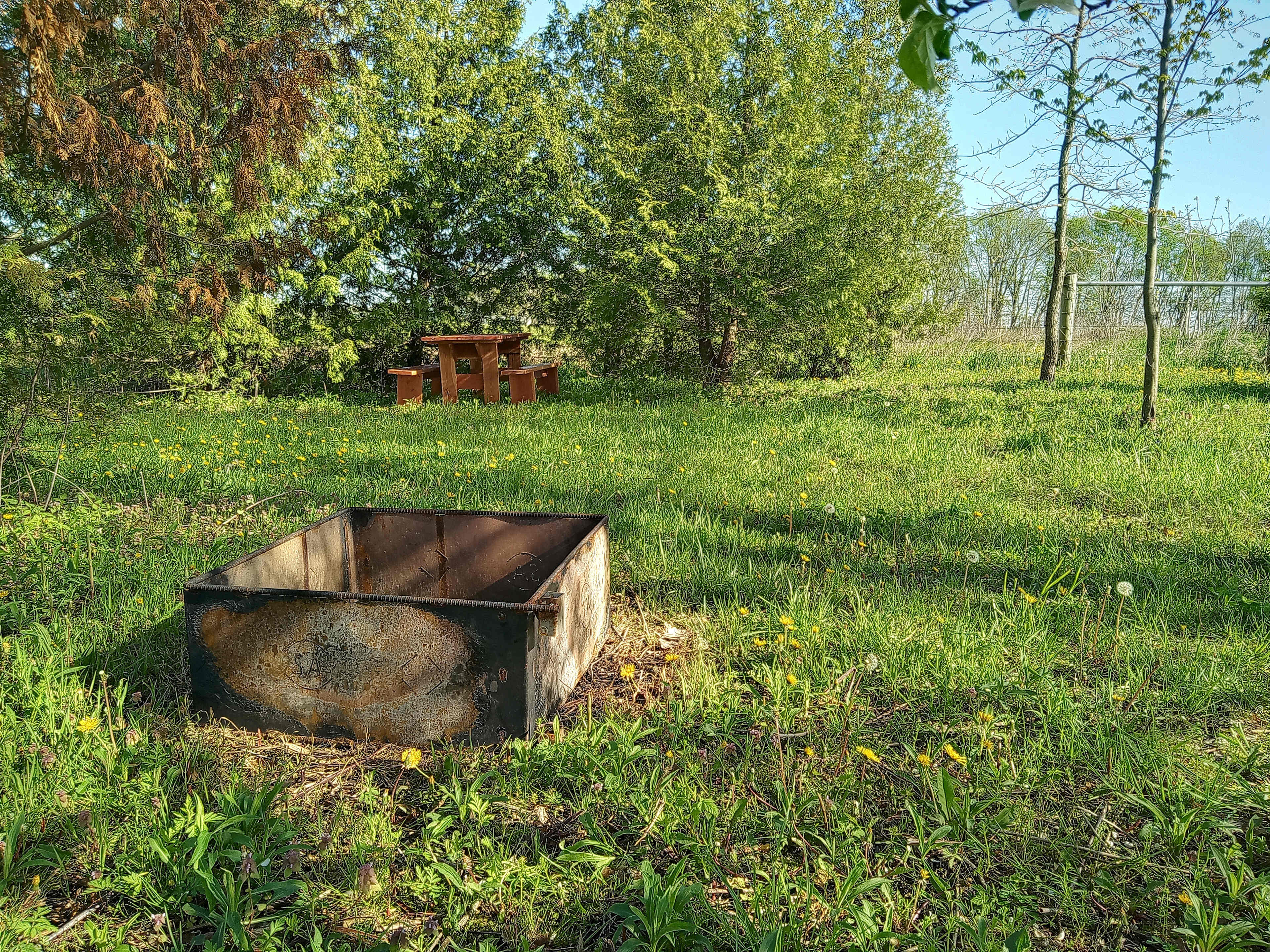 Picture of the site