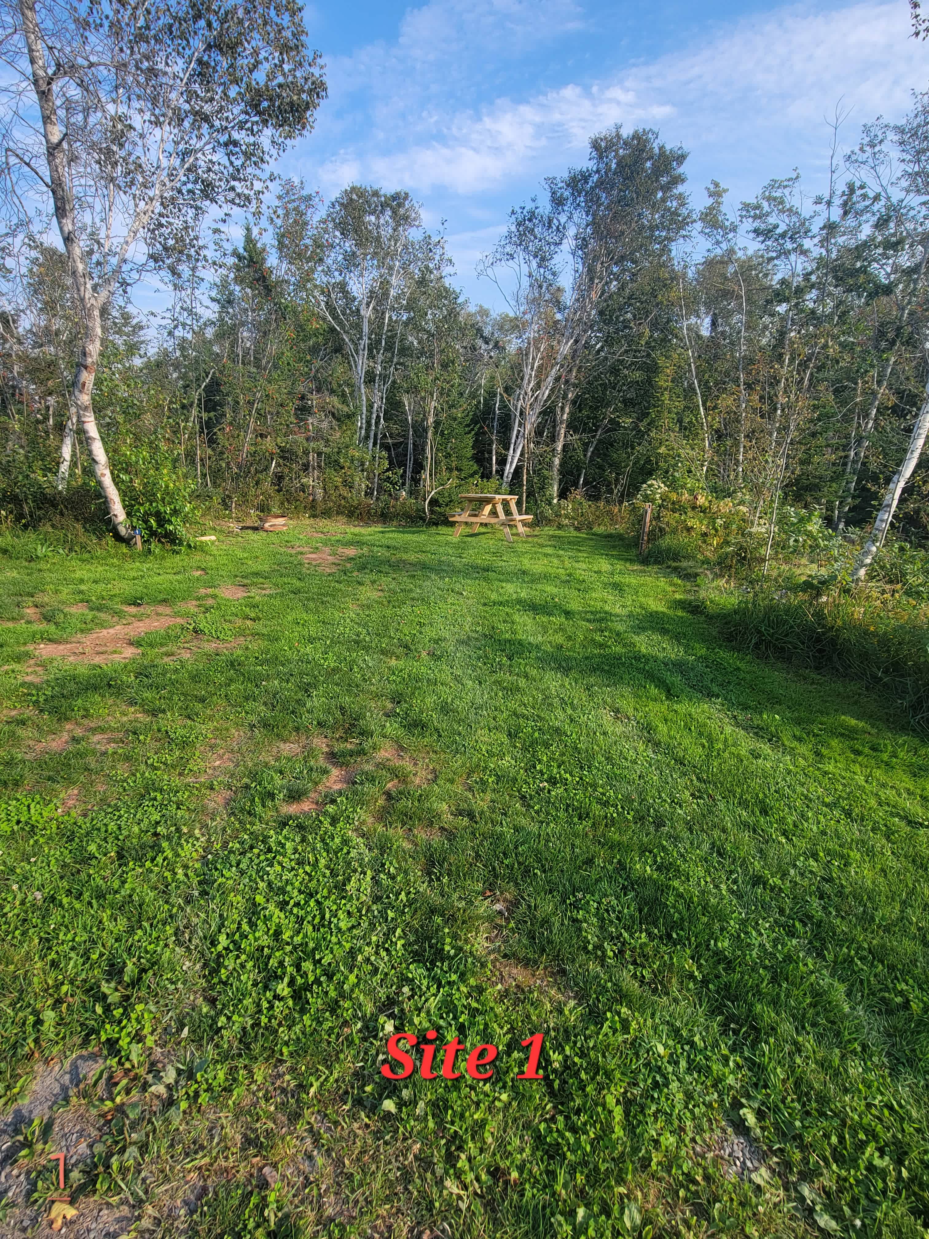 Picture of the site