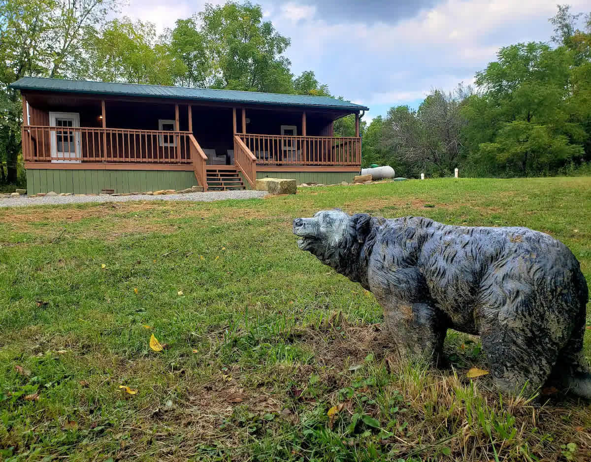 Picture of the site