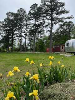 CAMP TINY our base camp