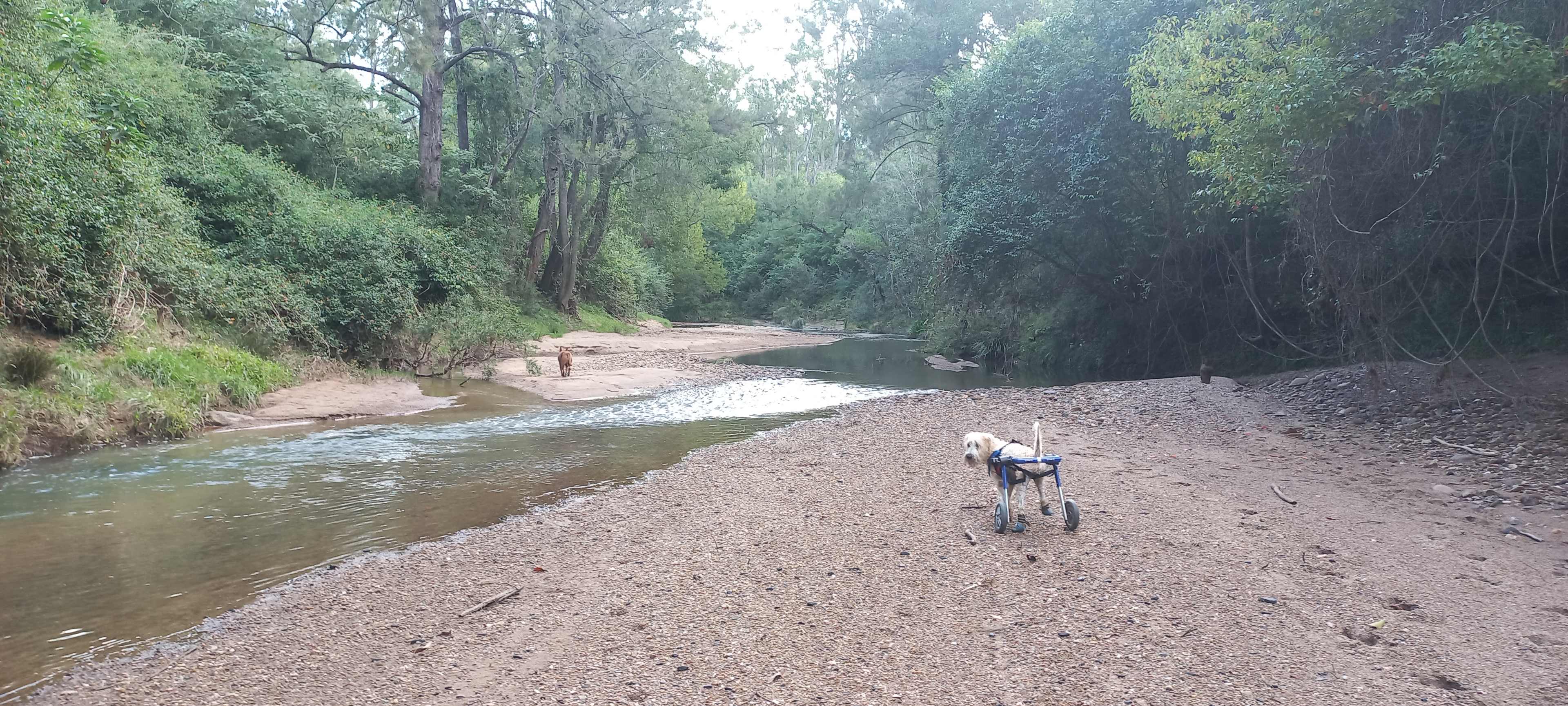 Picture of the site