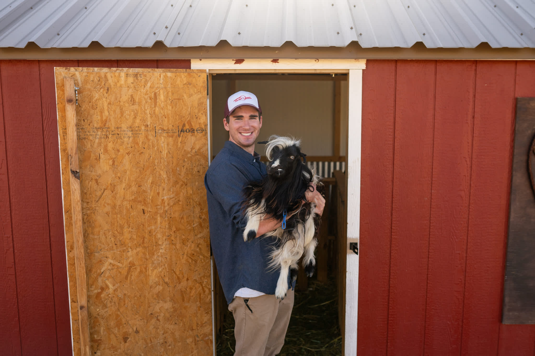 Cuddly goat!
