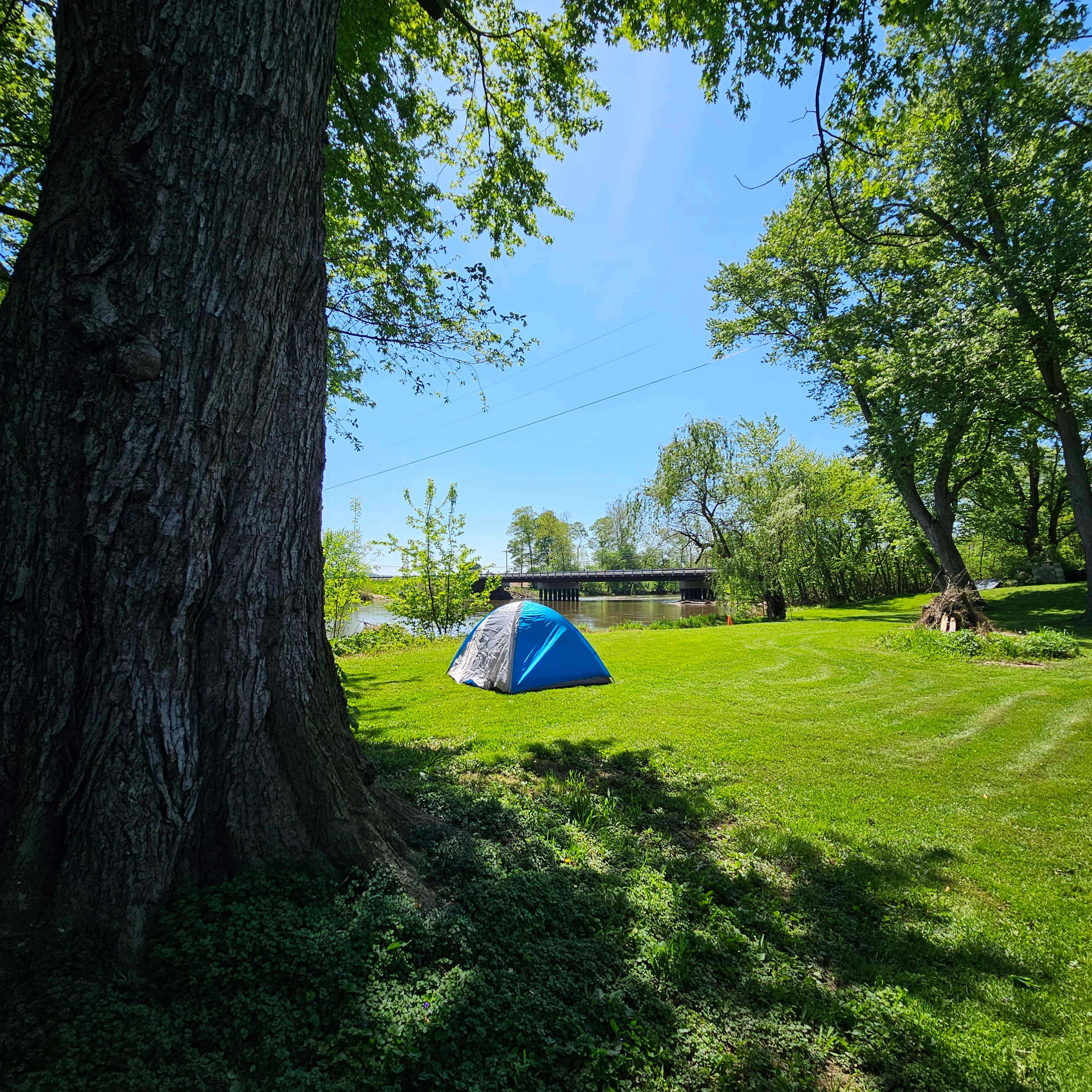 Picture of the site