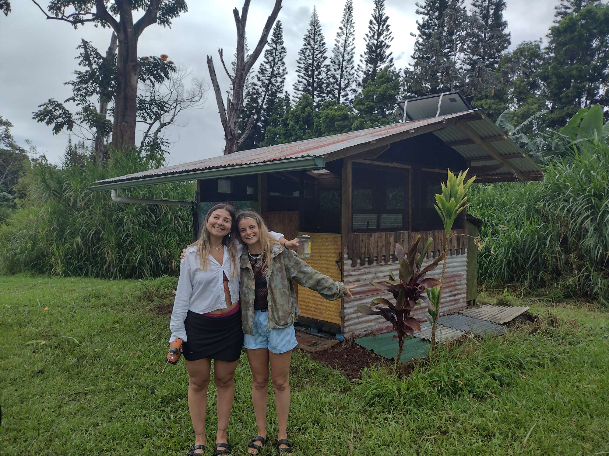 Alternative Off-Grid Fruit Farm