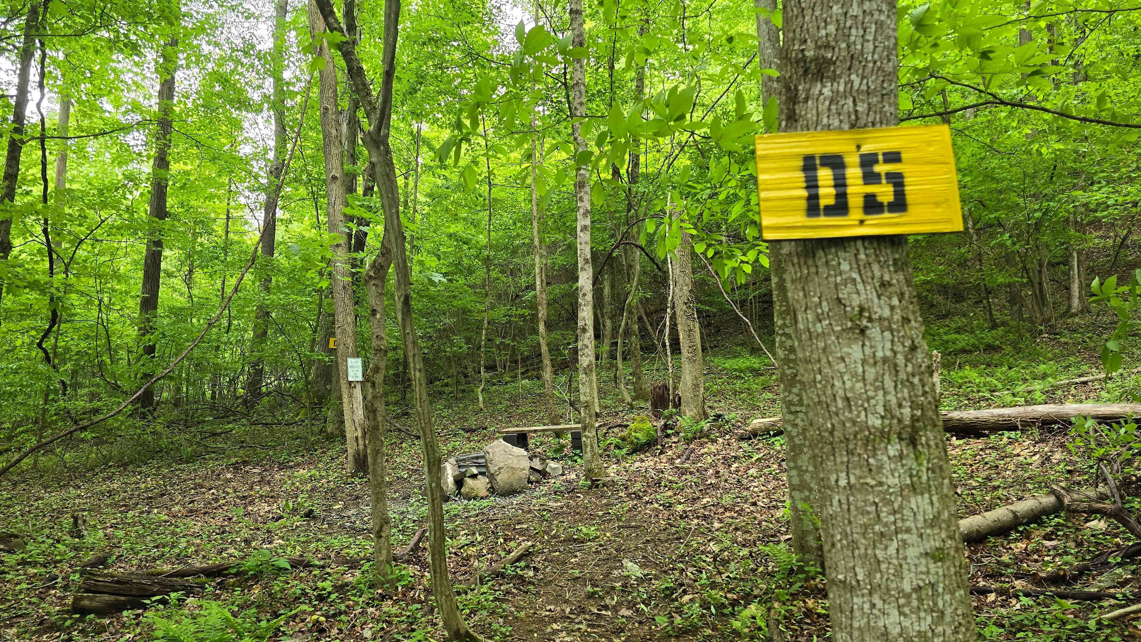Picture of the site