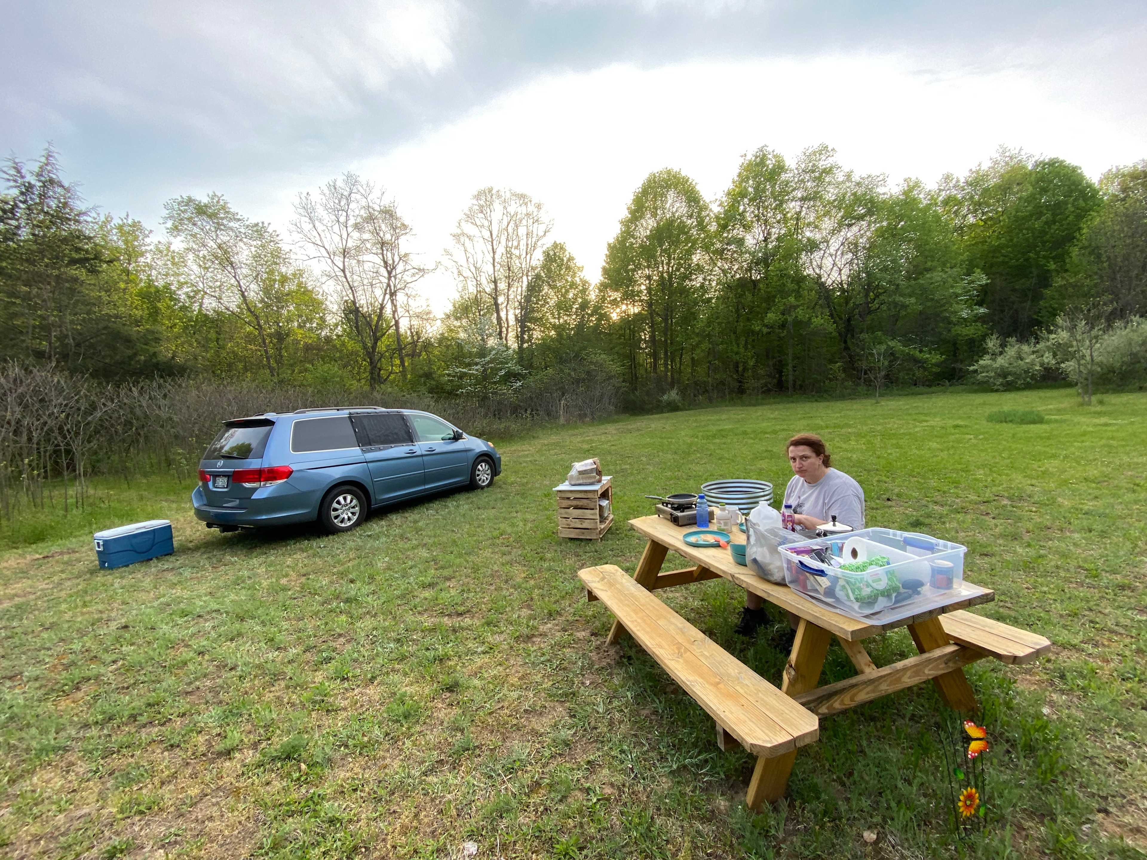 Picture of the site