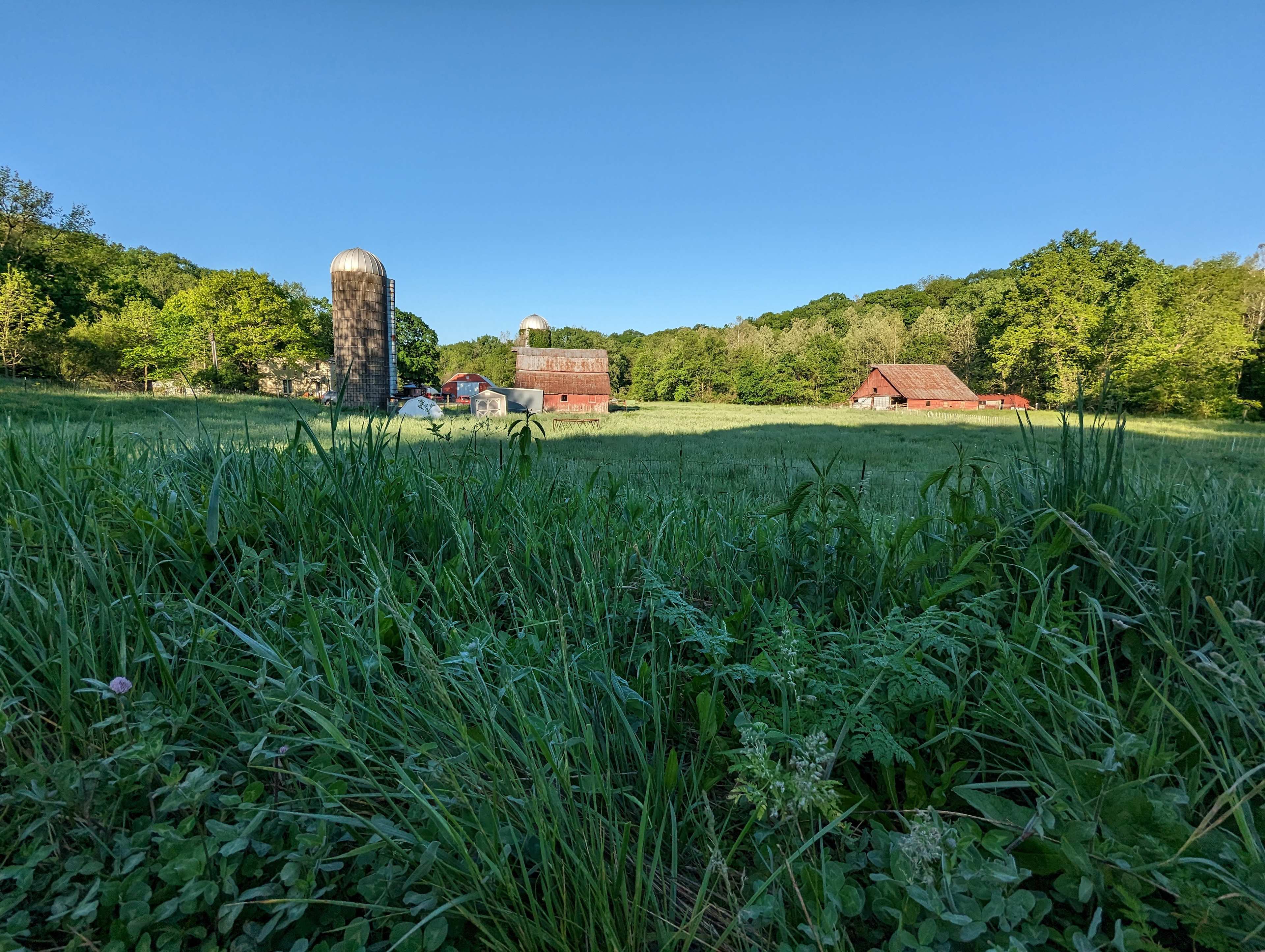 Glamping+Goats+Gardens 175Acre Farm