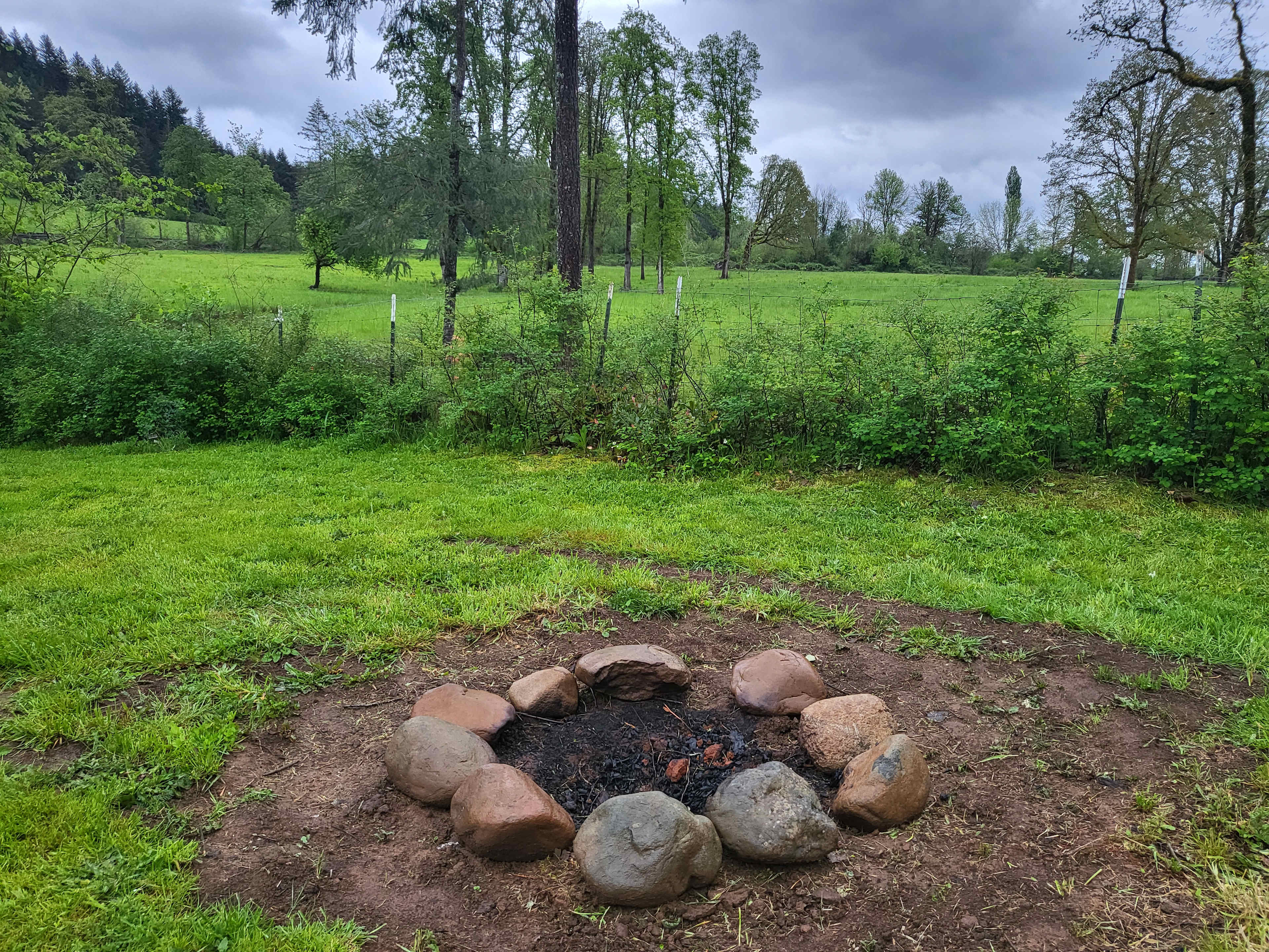 River Mountain Meadow