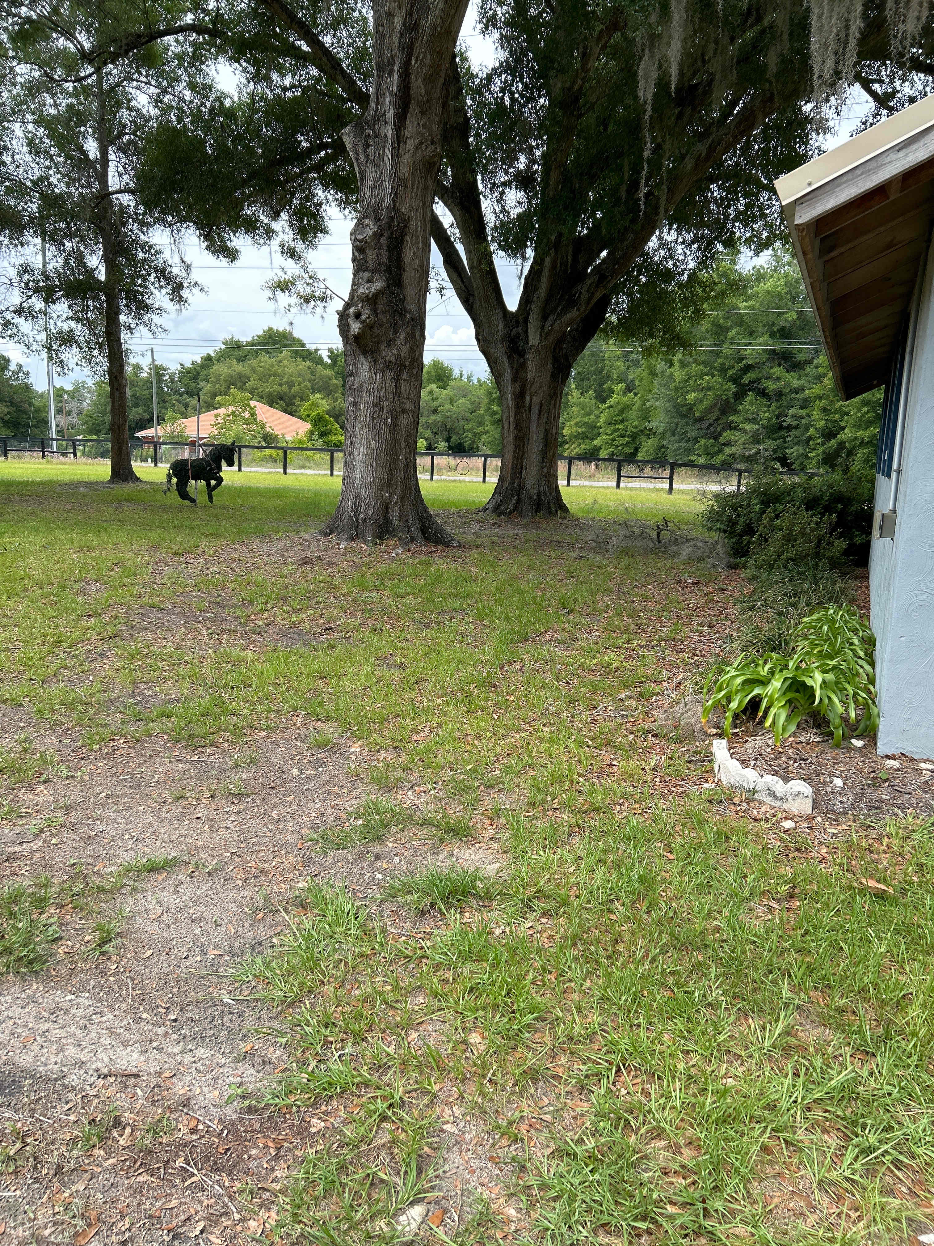 Shannon Trails bring your horses