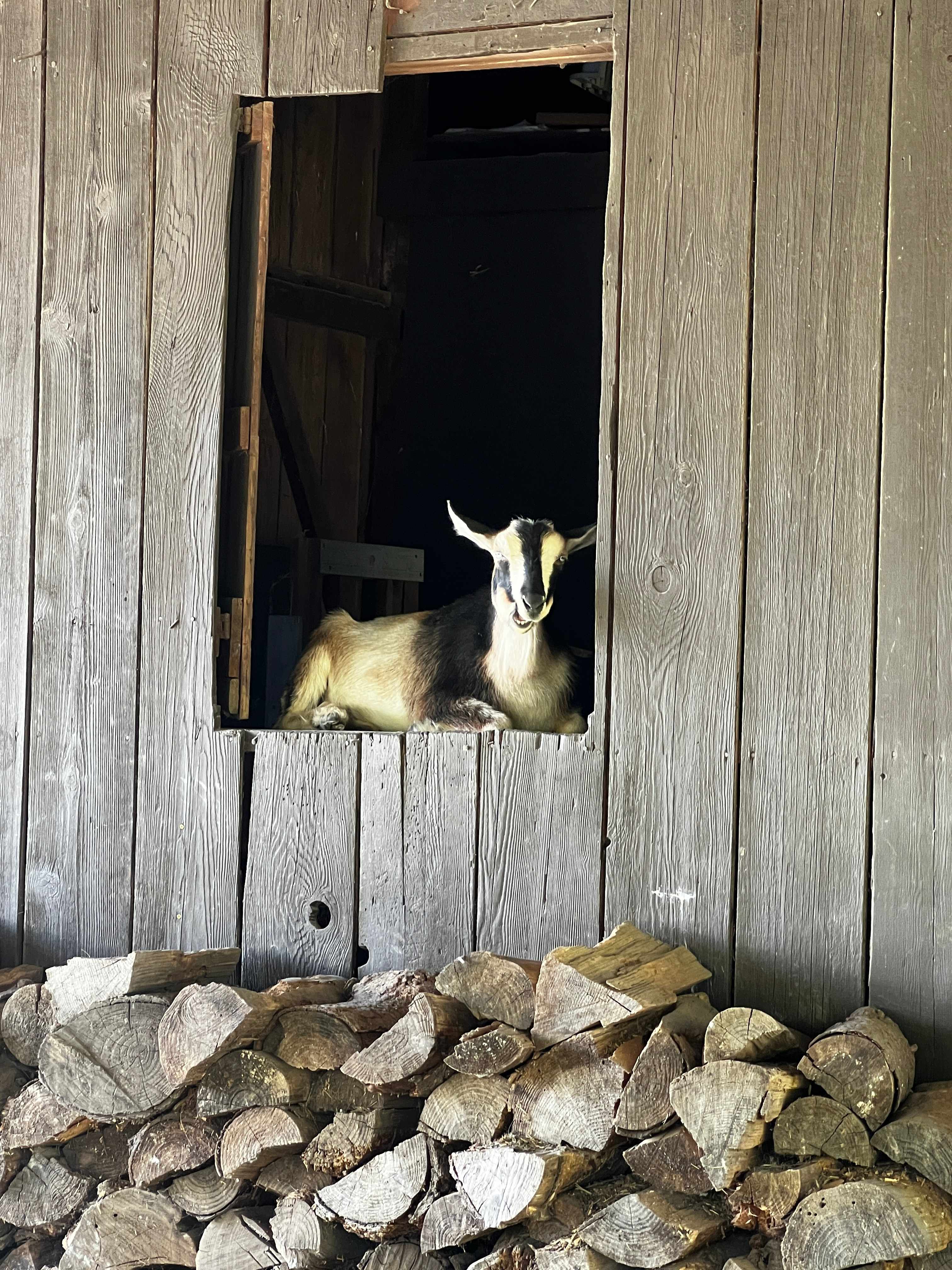 Homestead By Estacada Lake