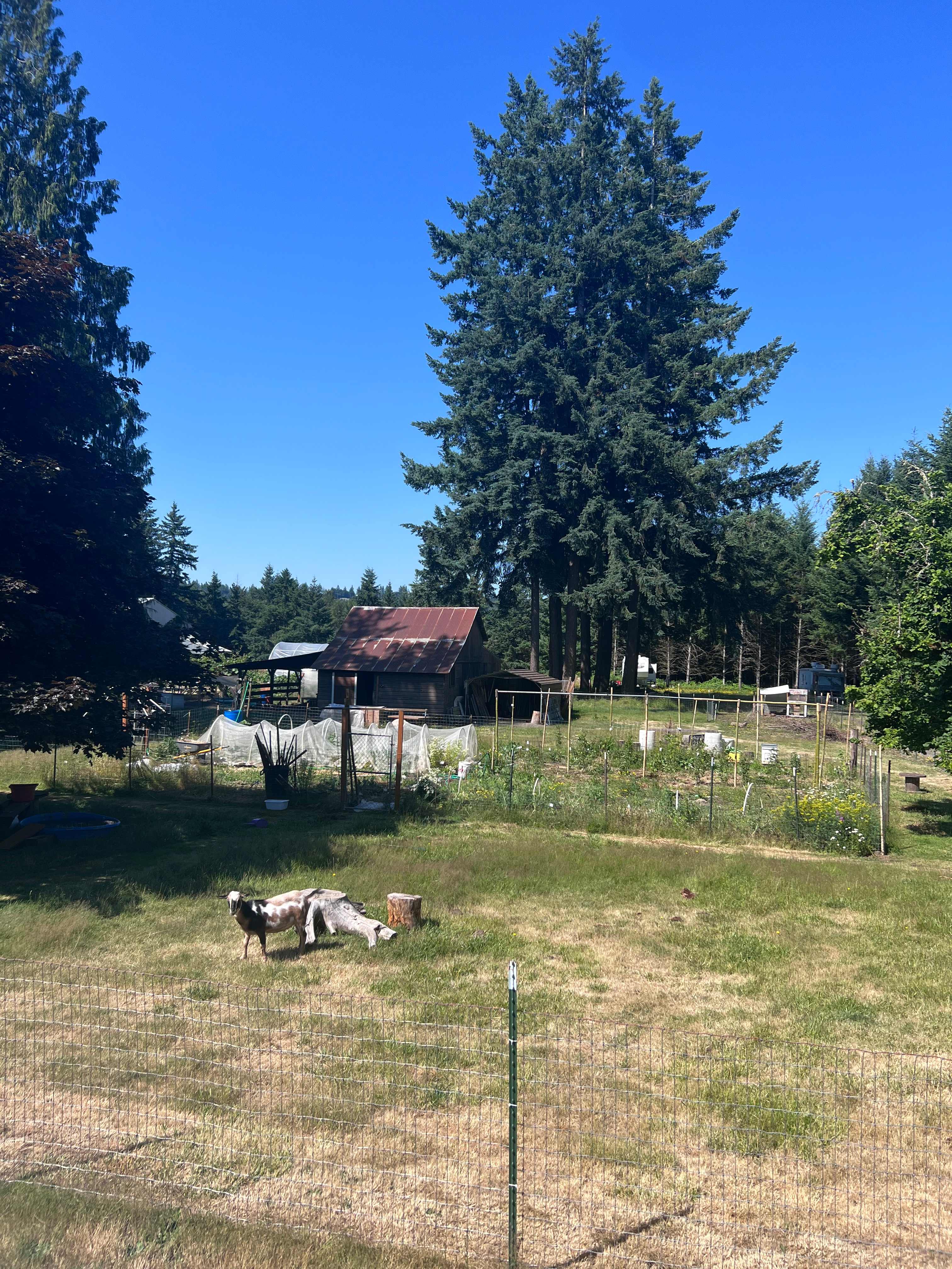 Homestead By Estacada Lake