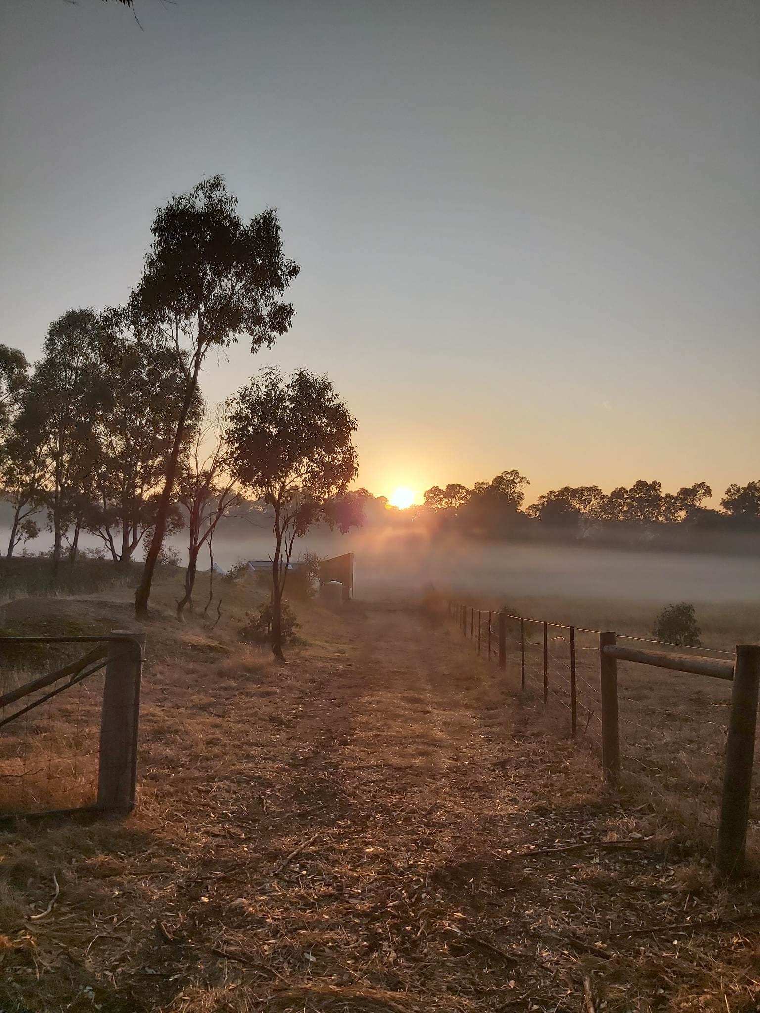 Peaceful Paddock - Castlemaine
