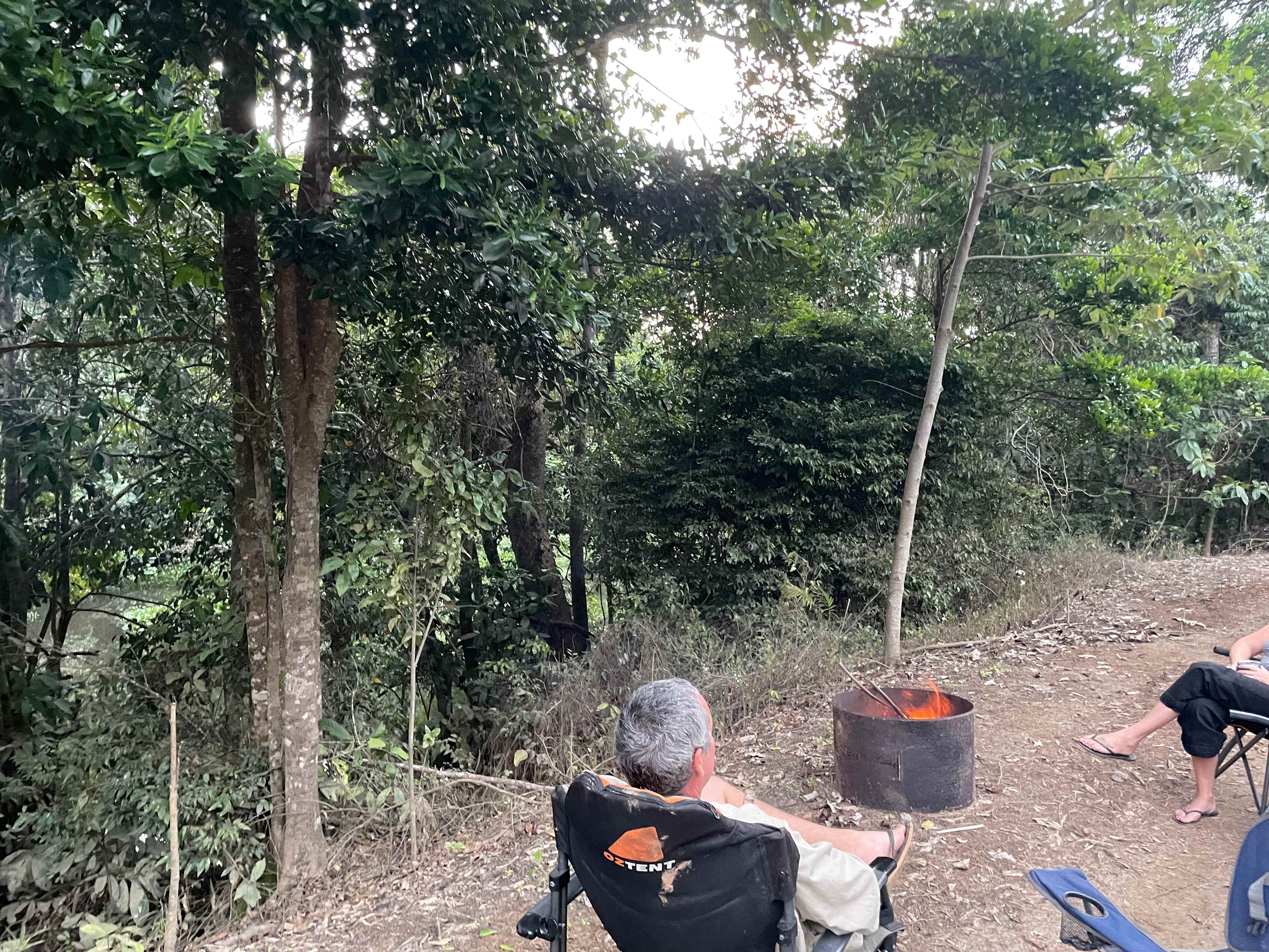 Aloomba Homestead (Tropical Qld)