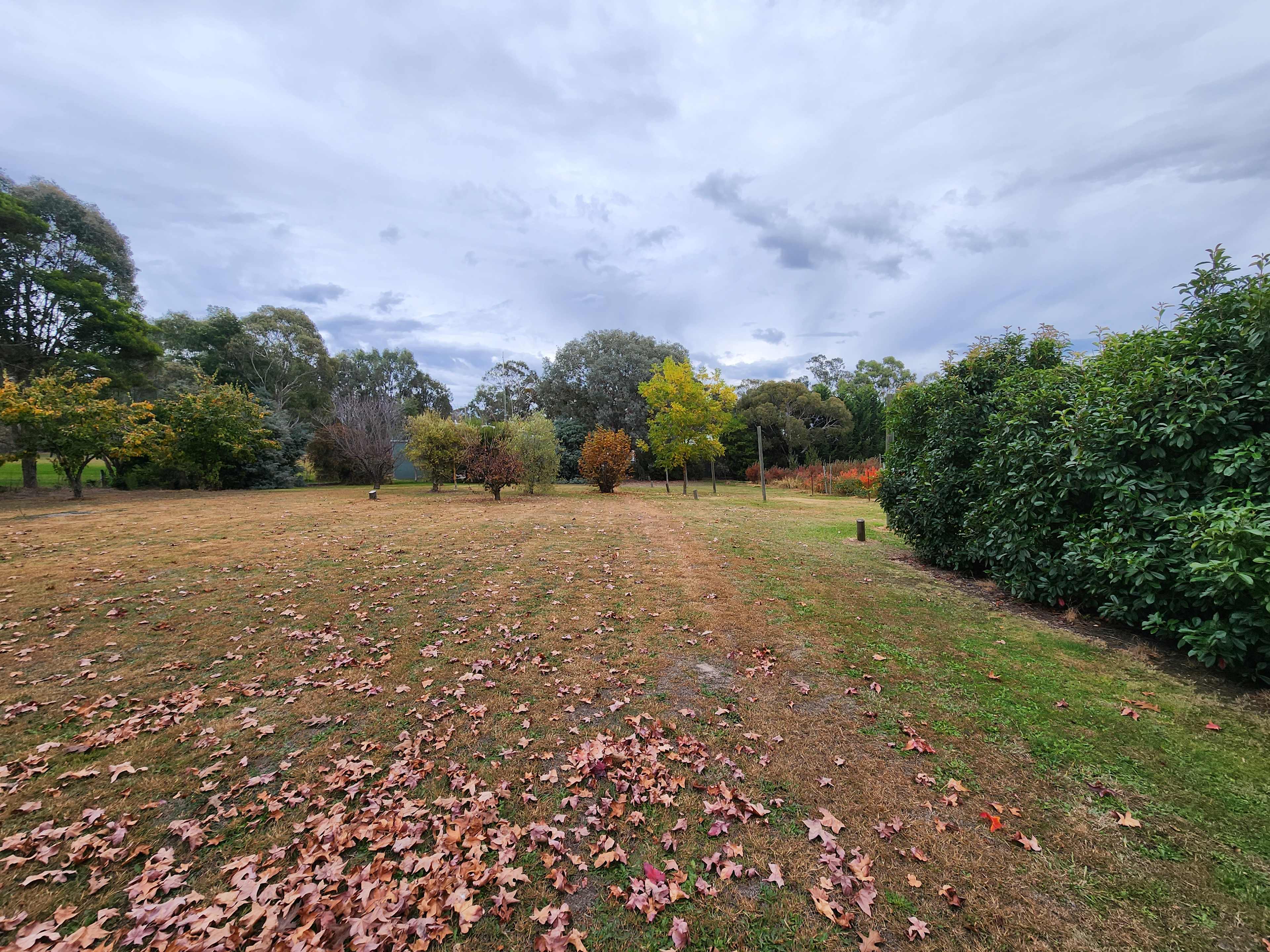 The Little Berry Farm