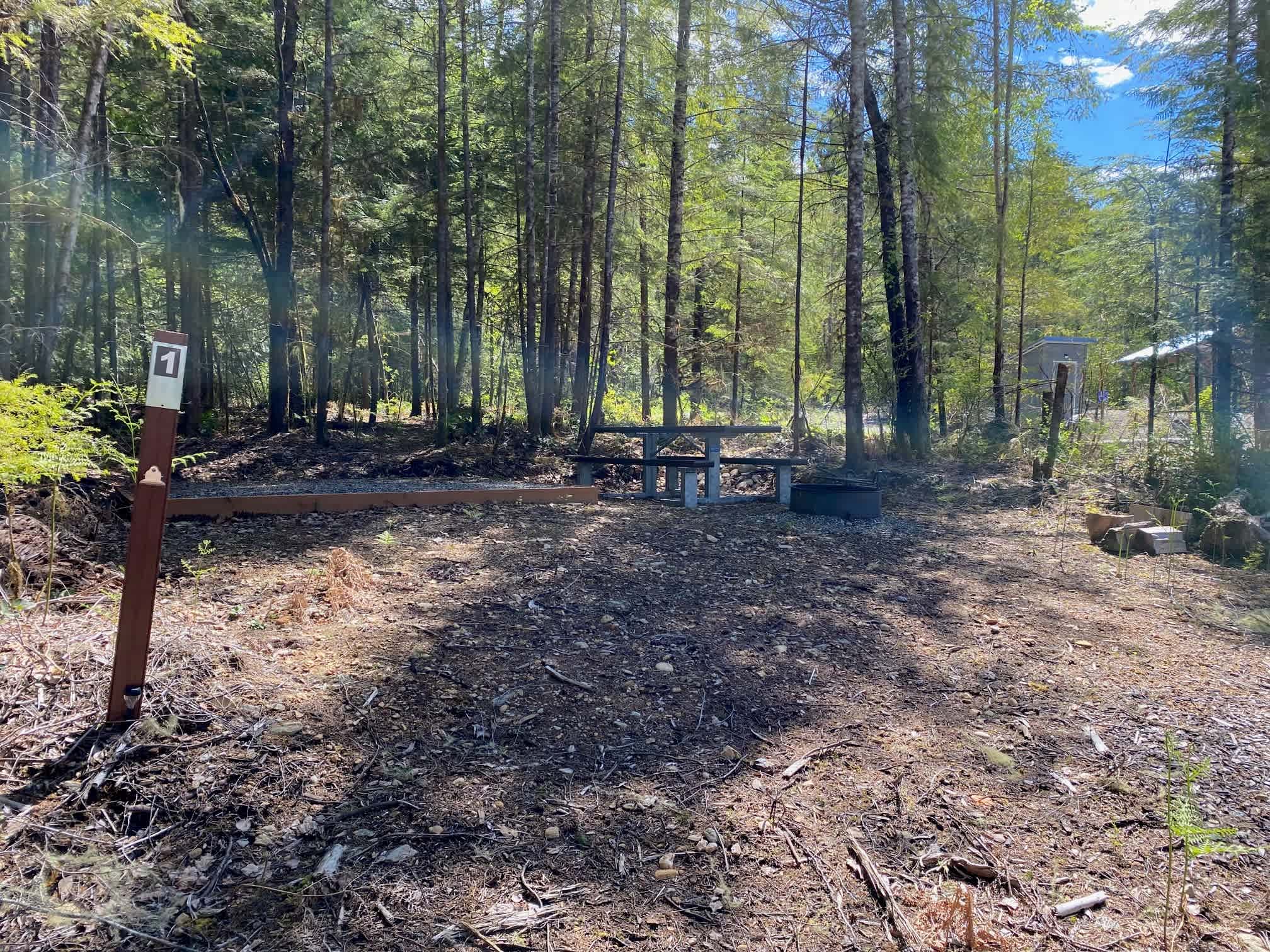 Picture of the site