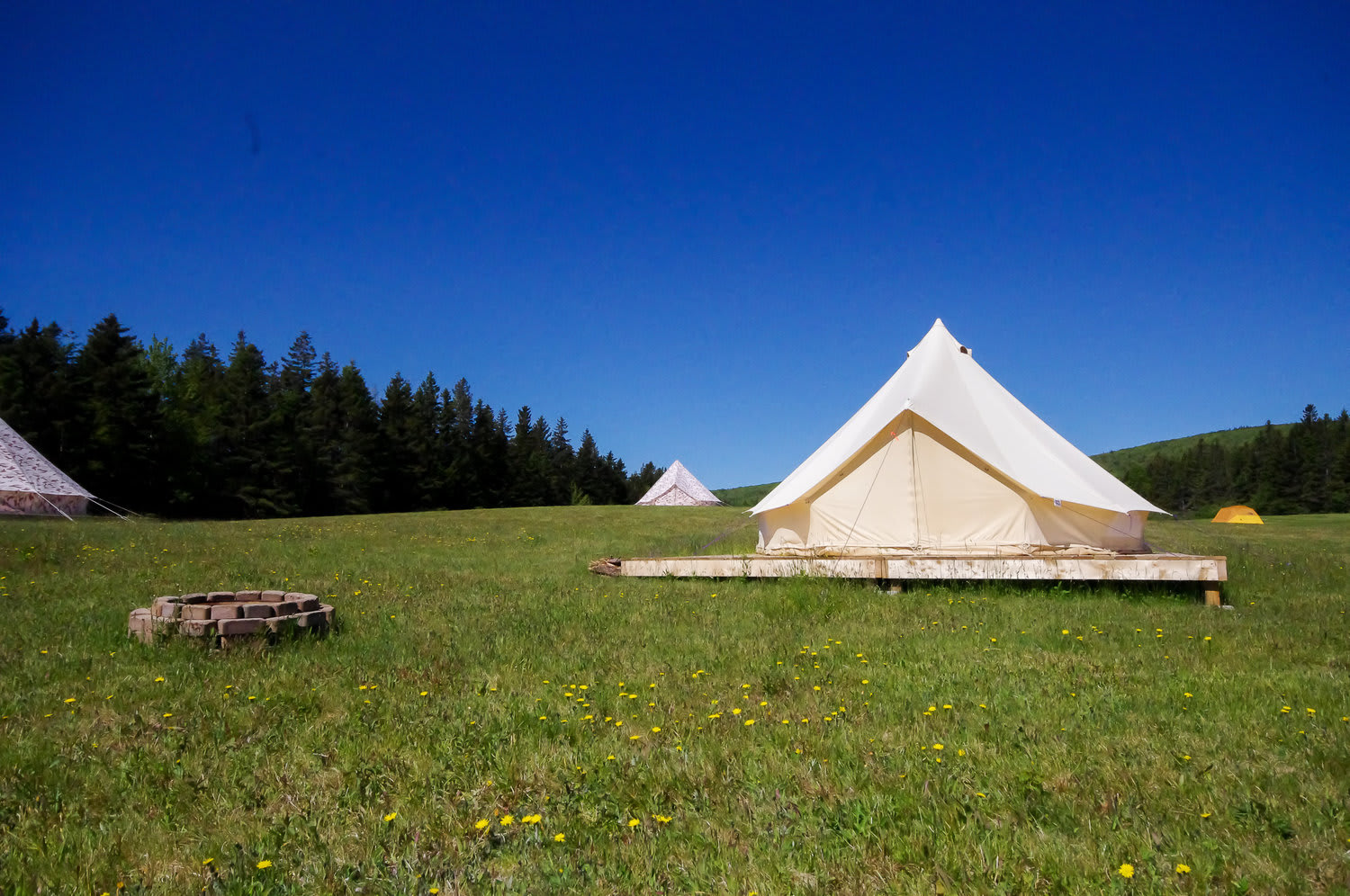 Picture of the site