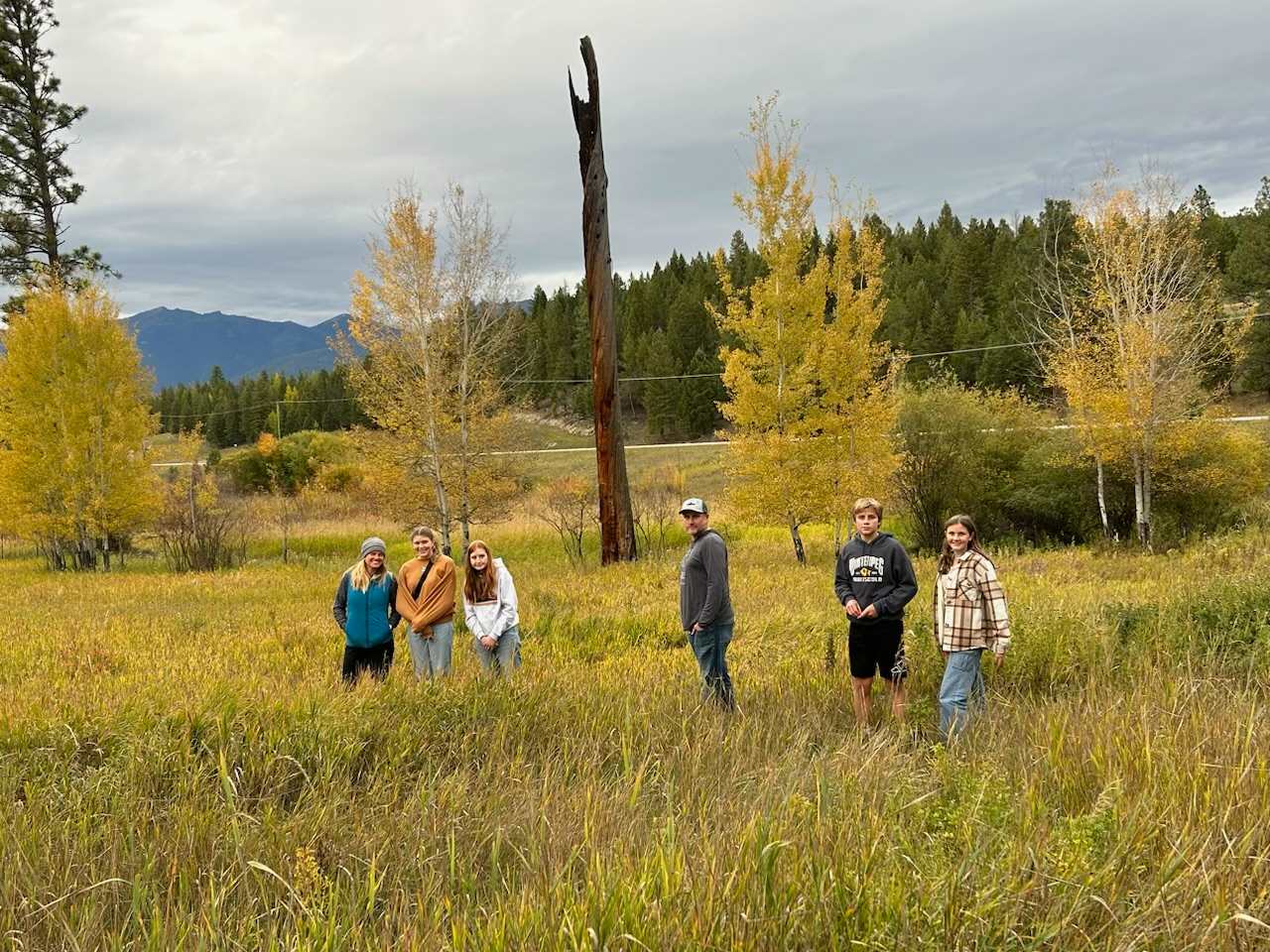 Picture of the site
