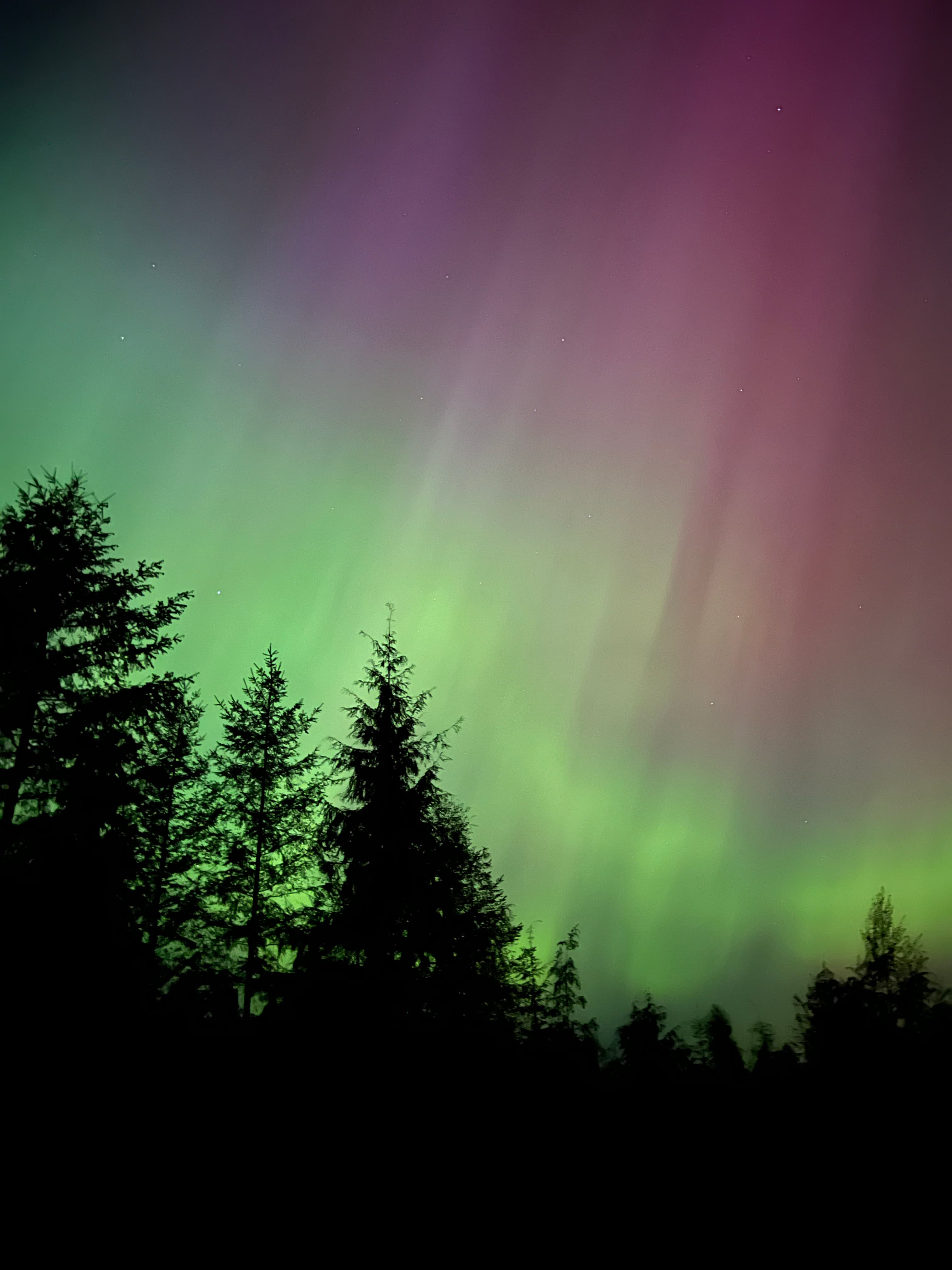 Aurora Borealis 
