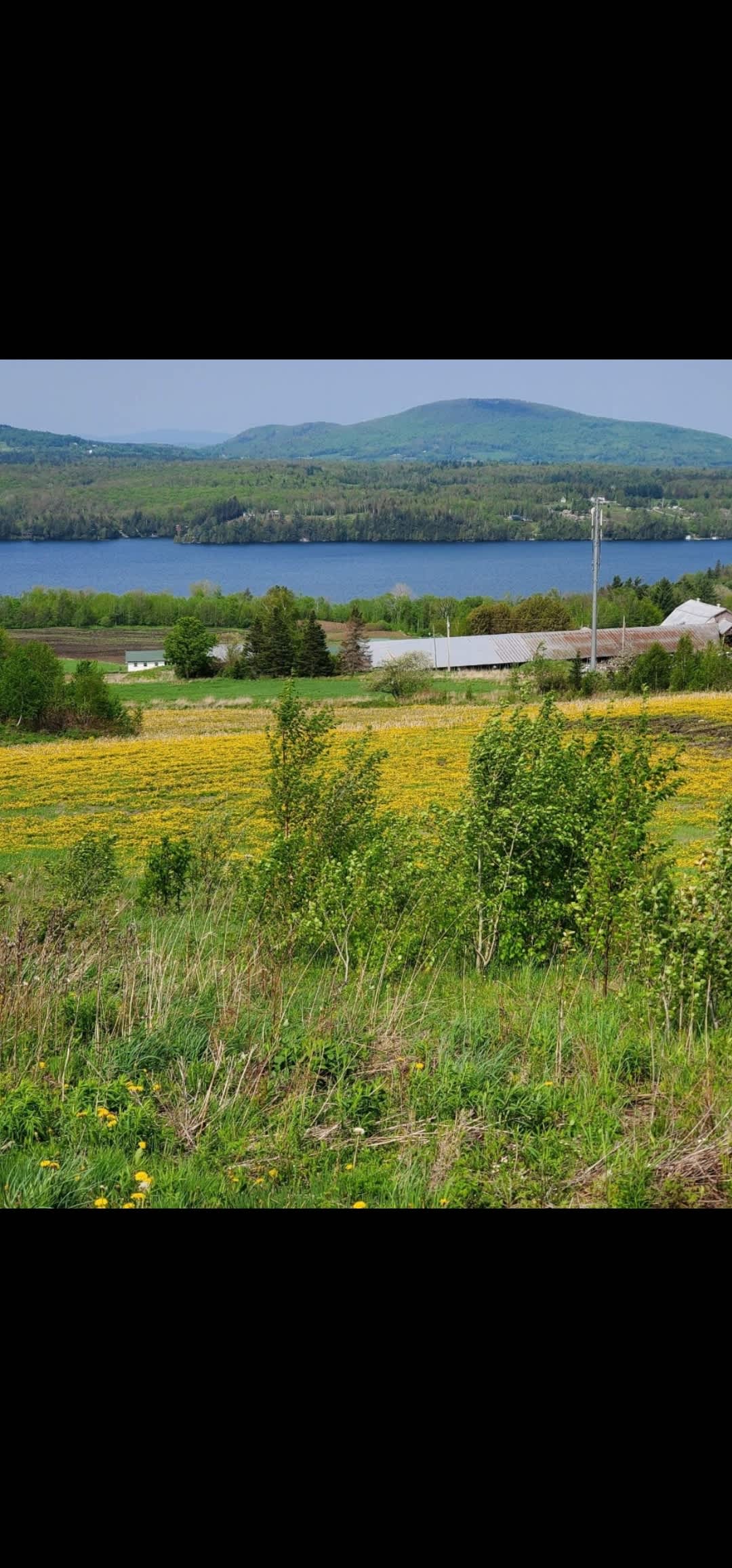 Willoughby Lake Grand View