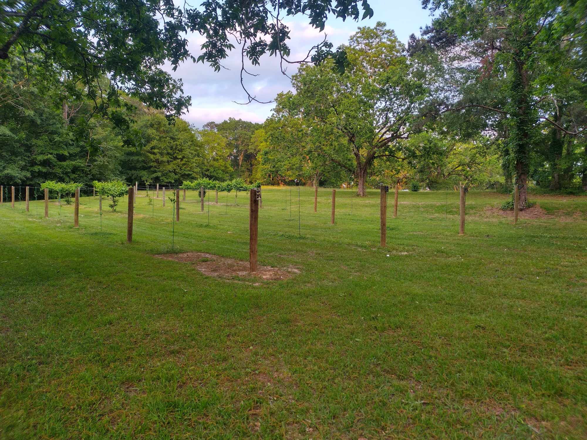 MK Vineyard and Farm..