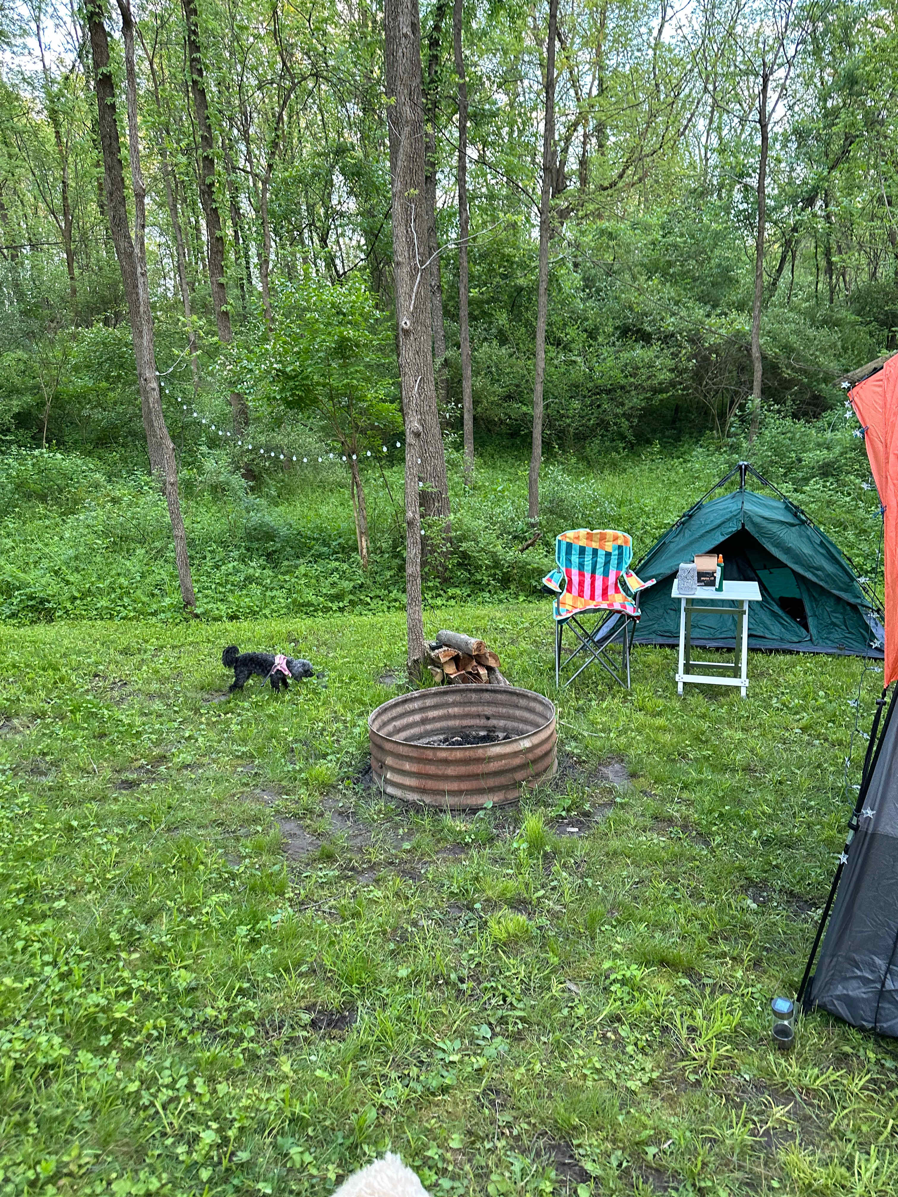 Picture of the site