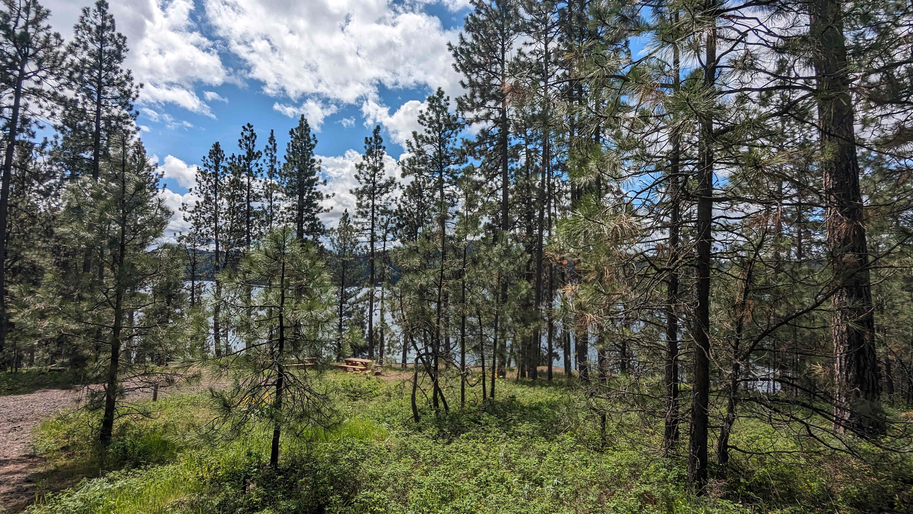 Harrison Bluffs Campground