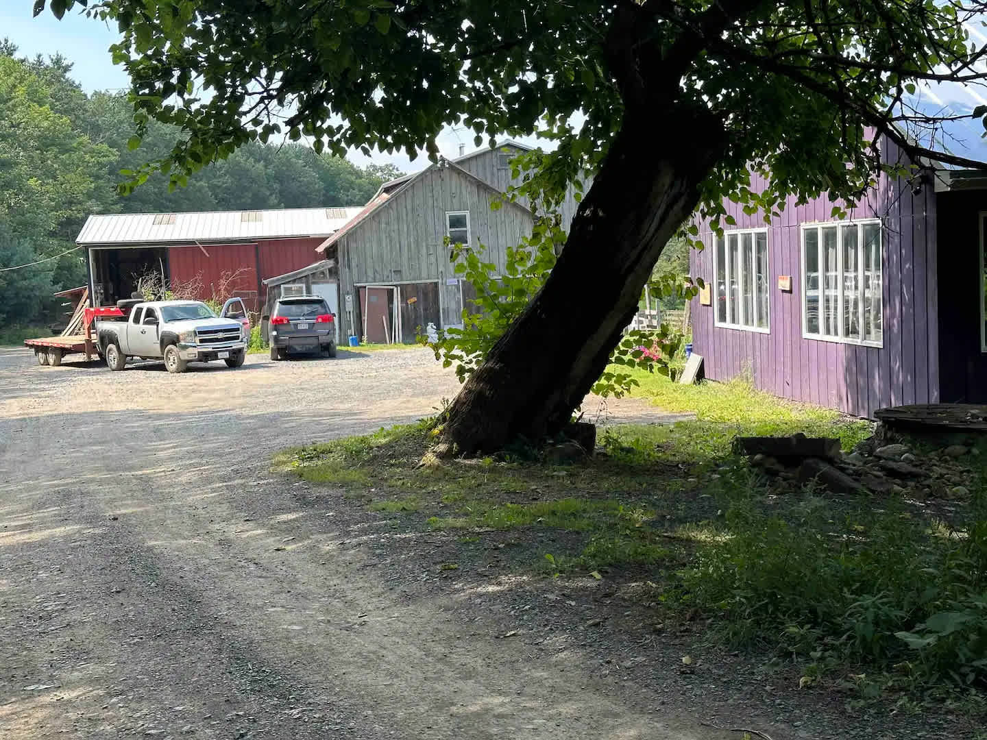 Picture of the site