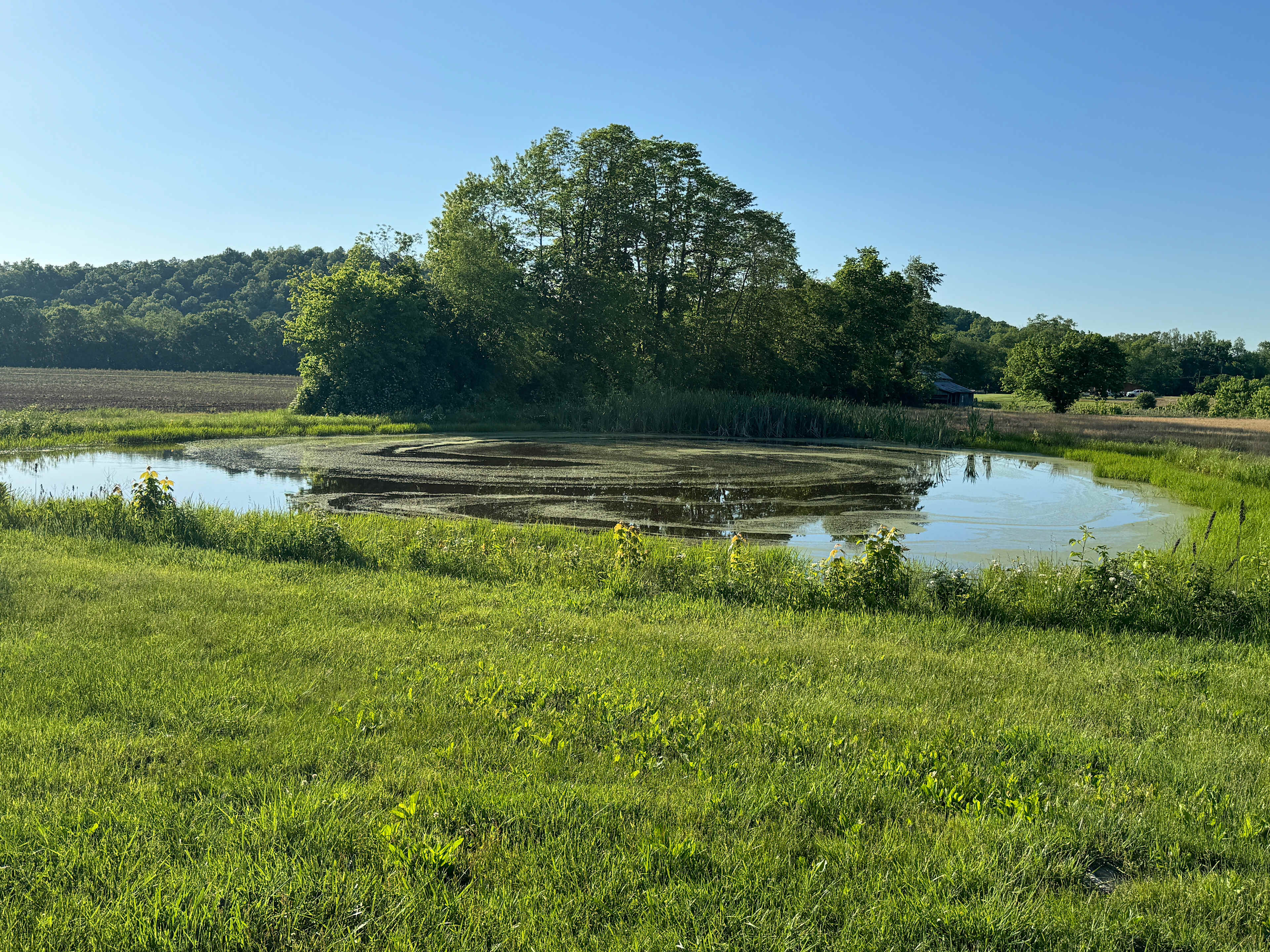 The Folsom Flats